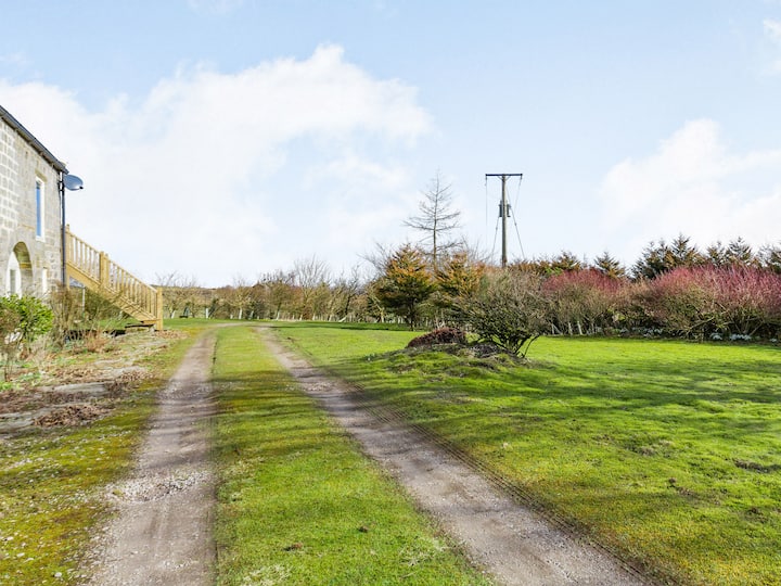Eva Rose - Uk37993 - Pateley Bridge
