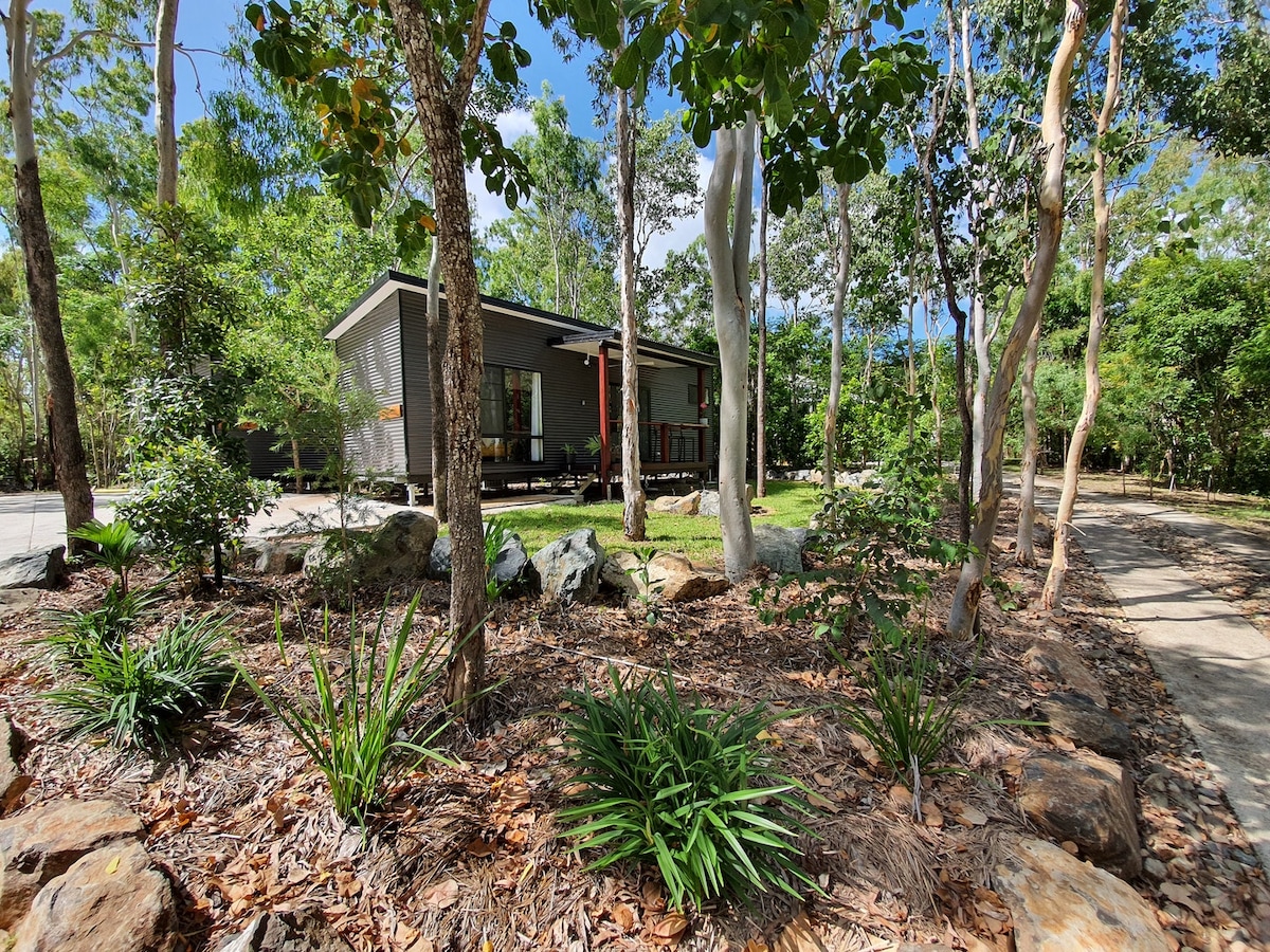 A modern cabin is nestled among lush greenery, surrounded by native trees and bushes. A stone pathway leads toward the entrance, while various plants and rocks are arranged artistically in the foreground, complementing the natural setting.