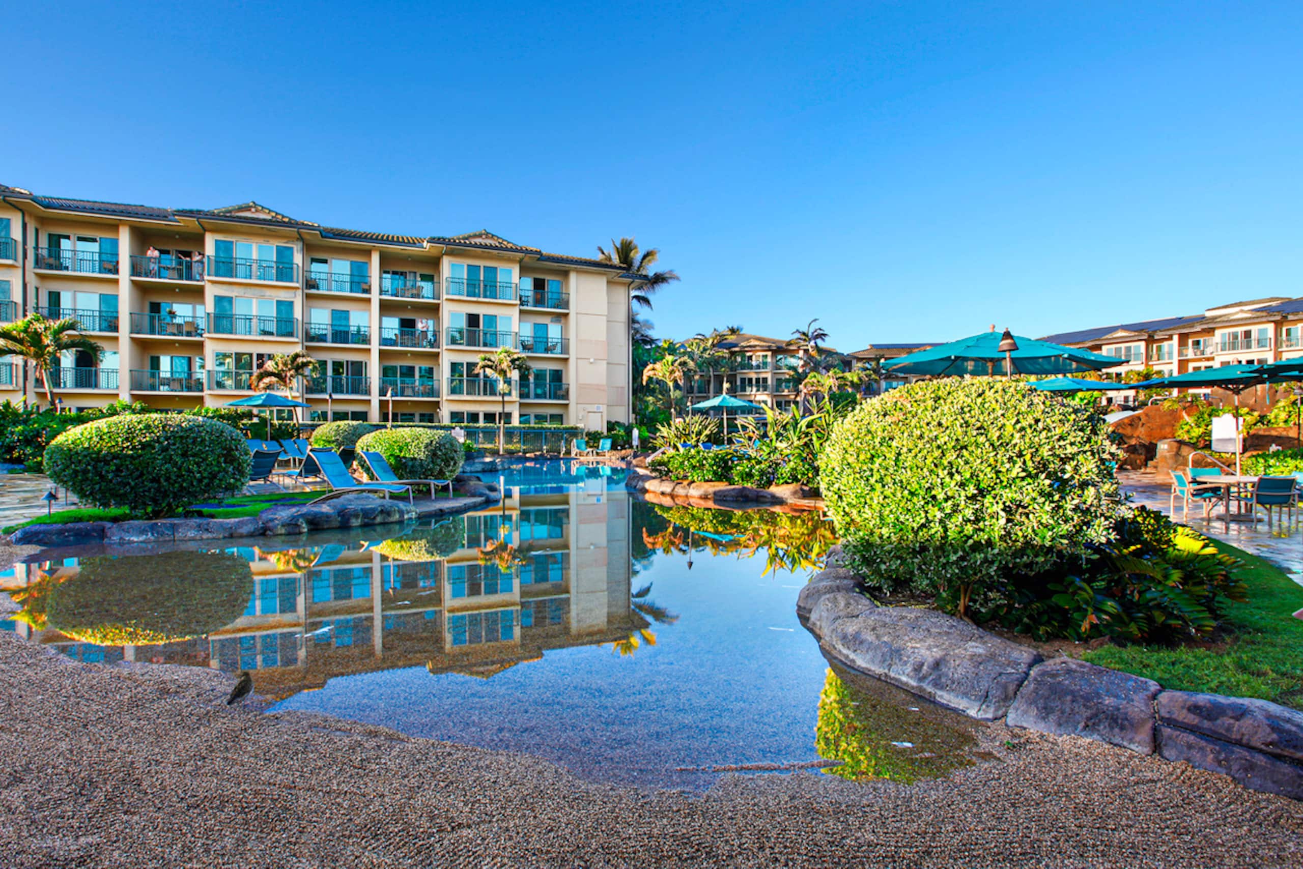 Condo in Kapaa · ★4.6 · 1 bedroom · 1 bed · 2 baths - Photo 12