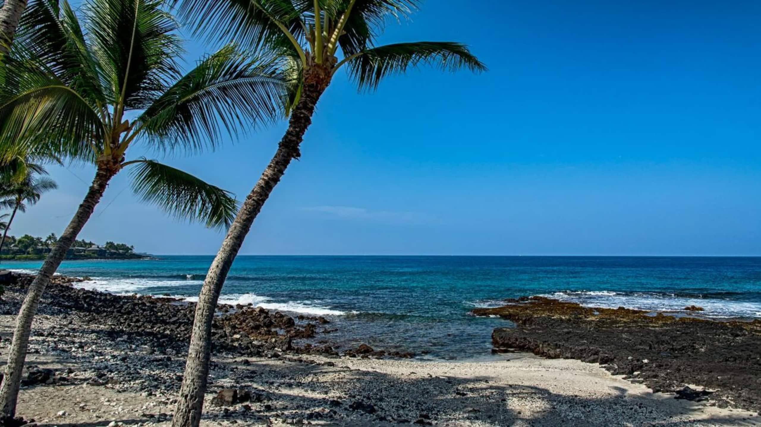 Condo in Kailua-Kona · ★4.62 · 2 bedrooms · 3 beds · 2 baths - Image 42