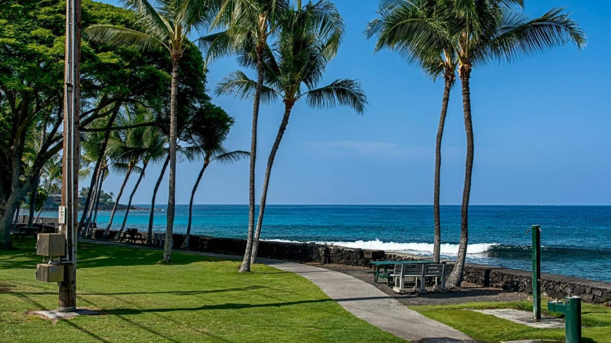 Condo in Kailua-Kona · ★4.62 · 2 bedrooms · 3 beds · 2 baths - Image 41