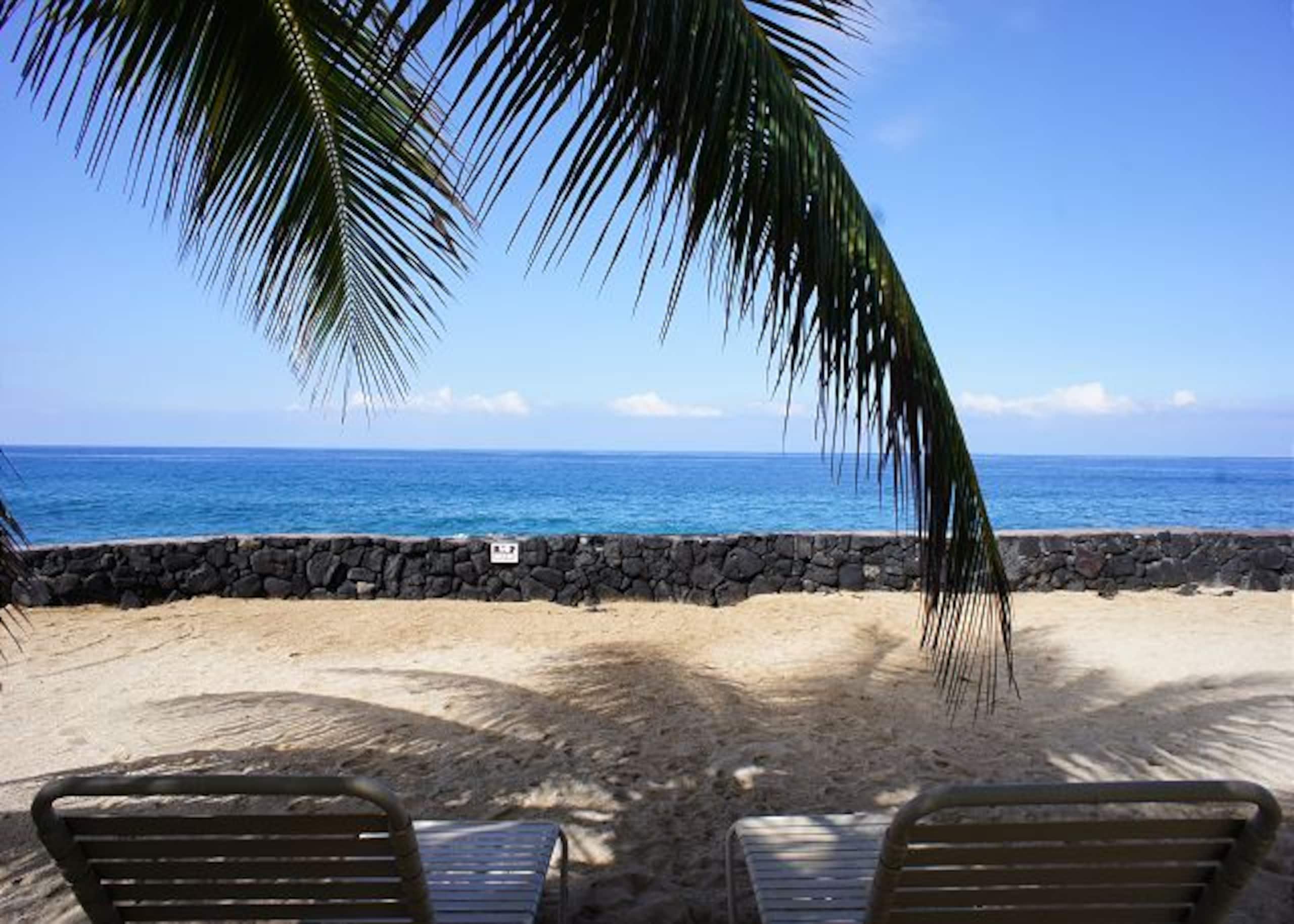 Condo in Kailua-Kona · ★5.0 · 1 bedroom · 1 bed · 1 bath - Image 28