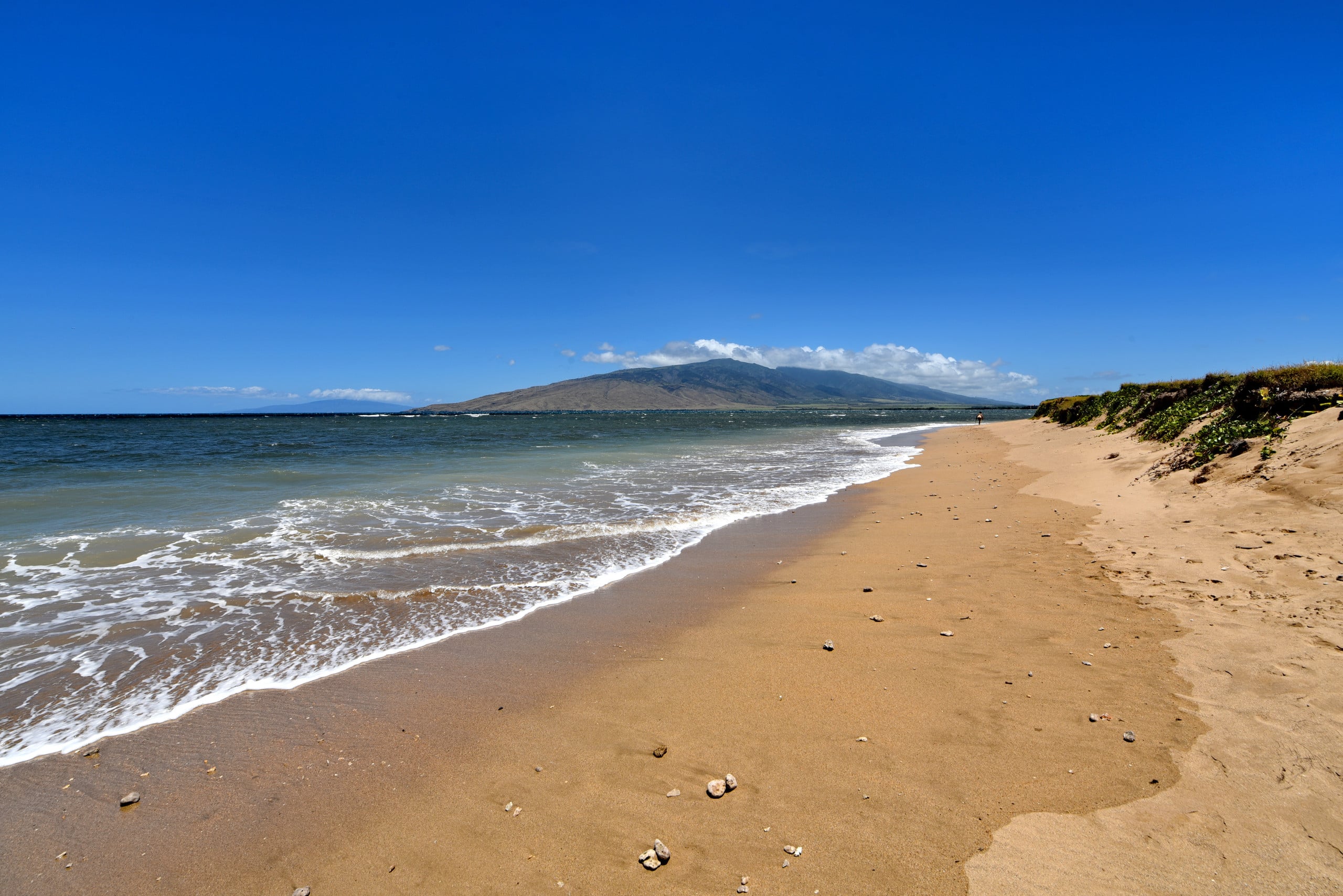Condo in Kihei · ★4.8 · 1 bedroom · 2 beds · 2 baths - Image 30