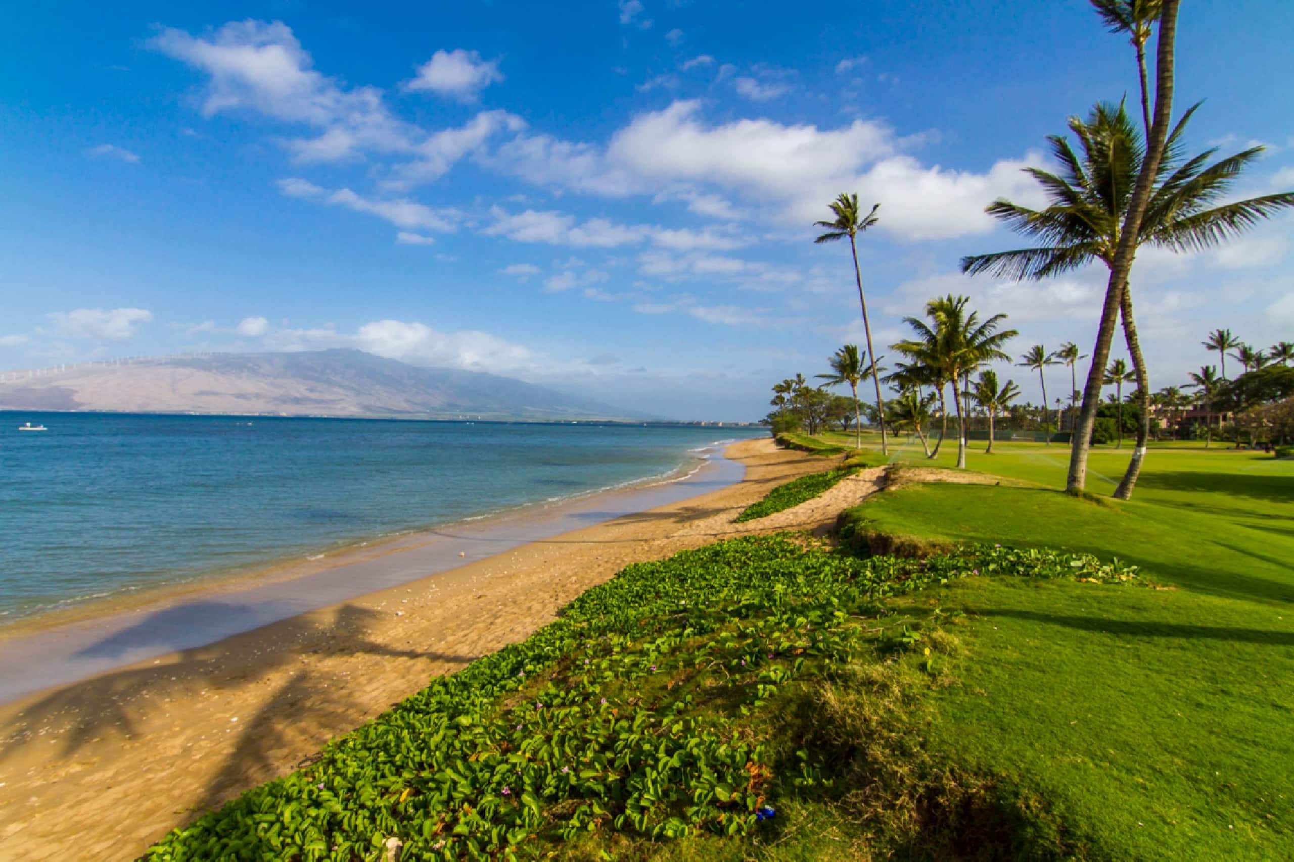 Condo in Kihei · ★4.8 · 1 bedroom · 2 beds · 2 baths - Image 28