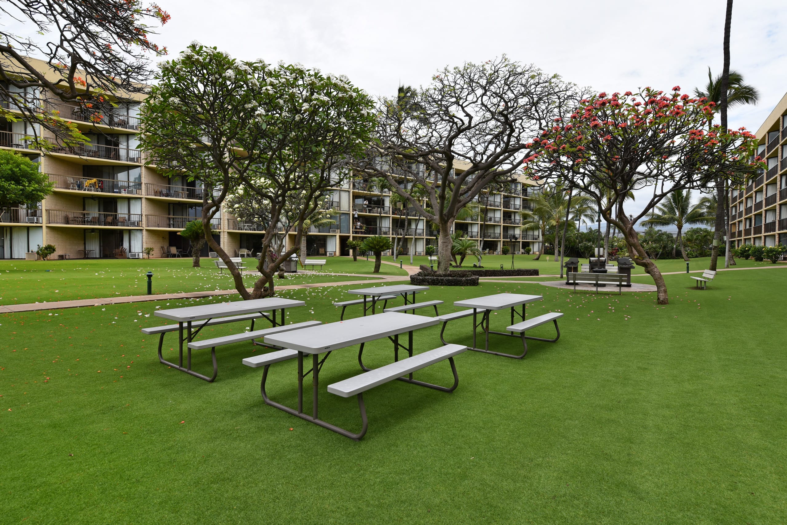 Condo in Kihei · ★4.8 · 1 bedroom · 2 beds · 2 baths - Image 22