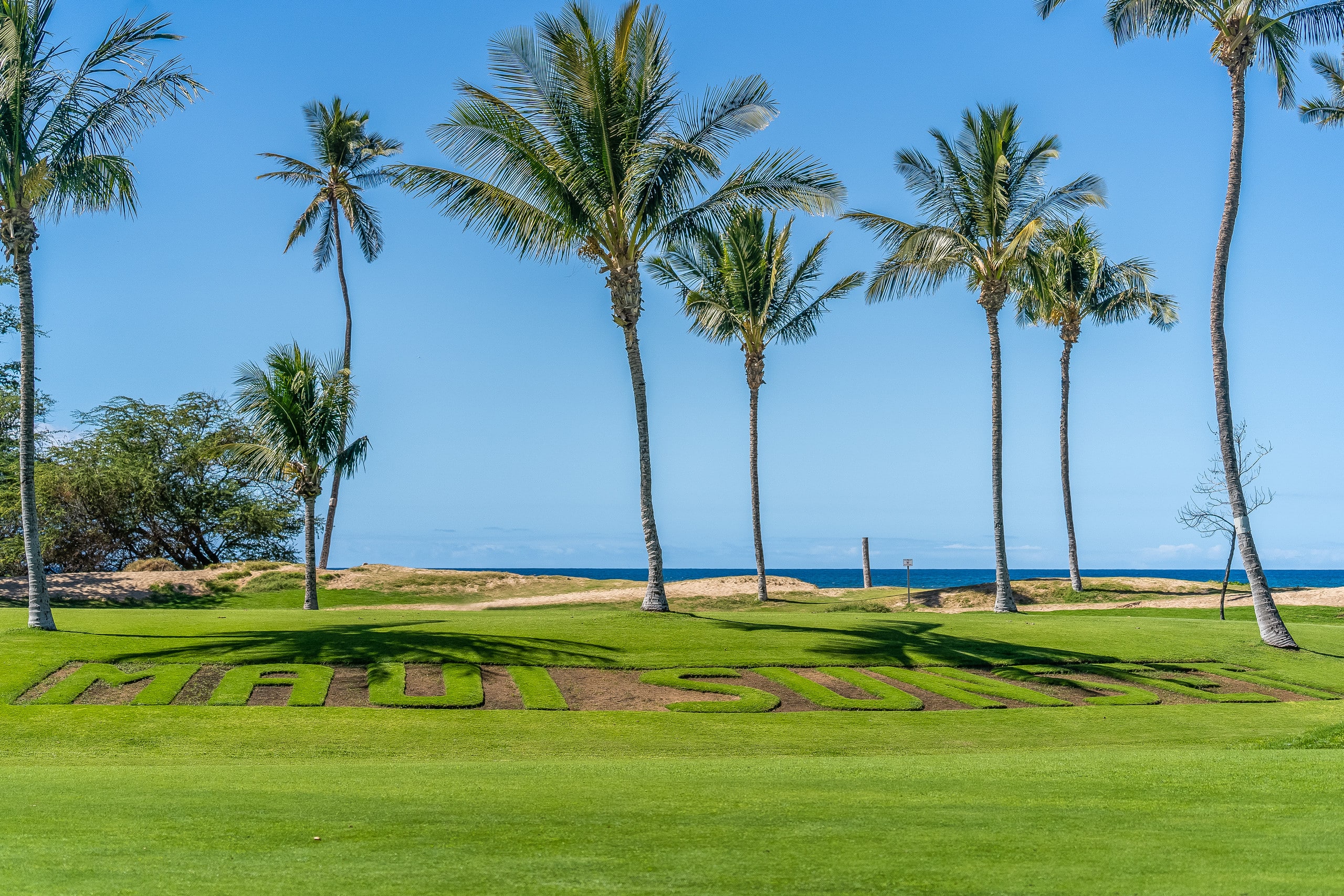 Condo in Kihei · ★4.8 · 1 bedroom · 2 beds · 2 baths - Image 24