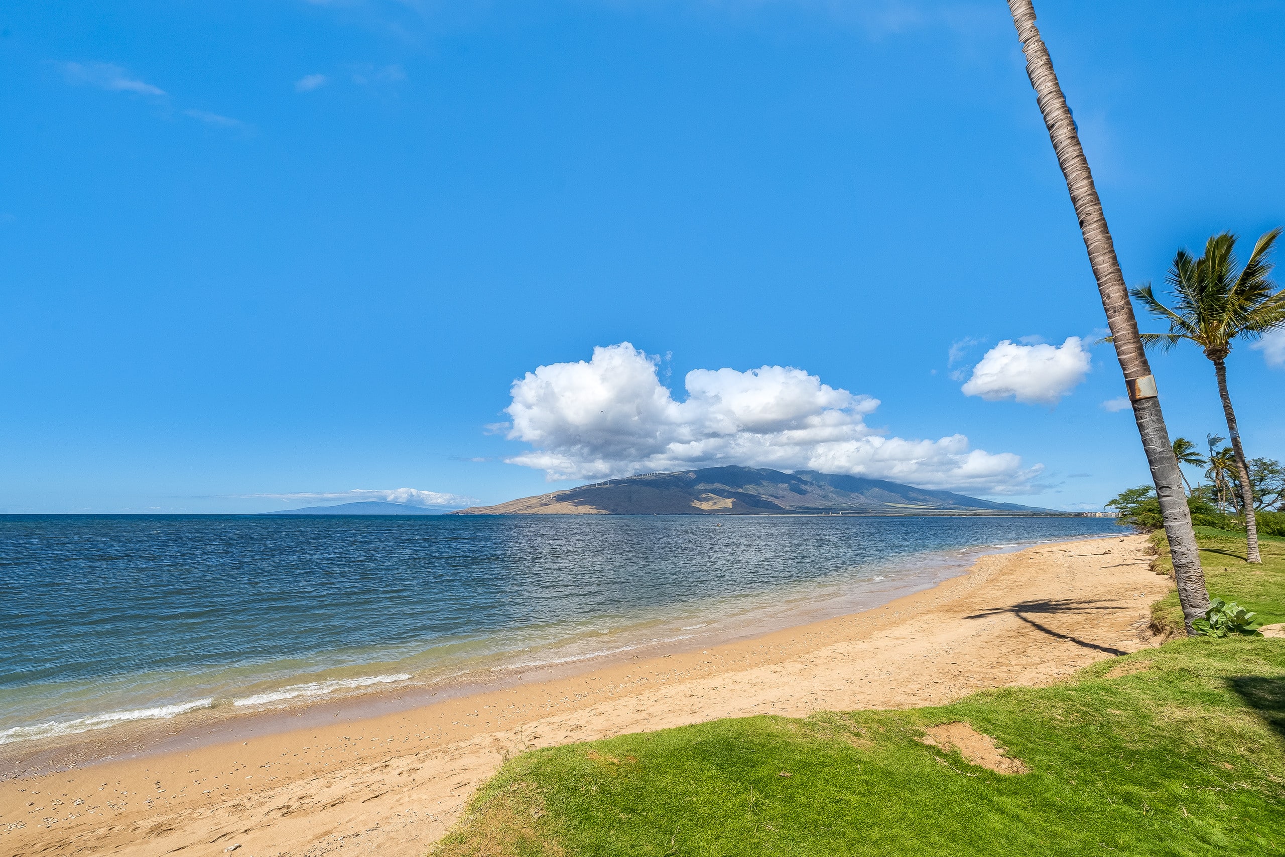 Condo in Kihei · ★4.8 · 1 bedroom · 2 beds · 2 baths - Image 29