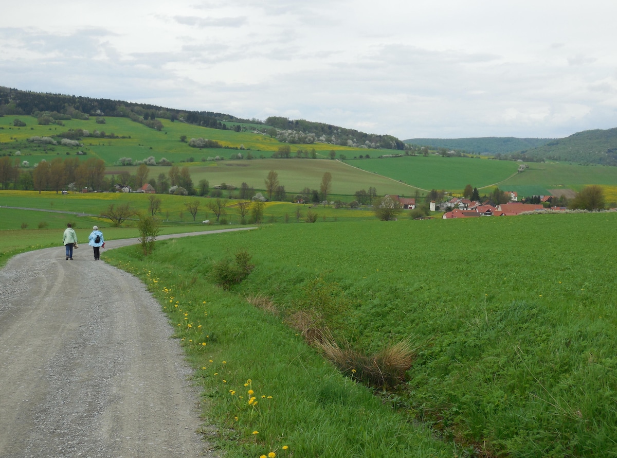 A scenic countryside path winds through lush green fields, flanked by gentle hills. Two figures are seen walking along the gravel road, with a village visible in the distance amidst a backdrop of trees and rolling terrain.