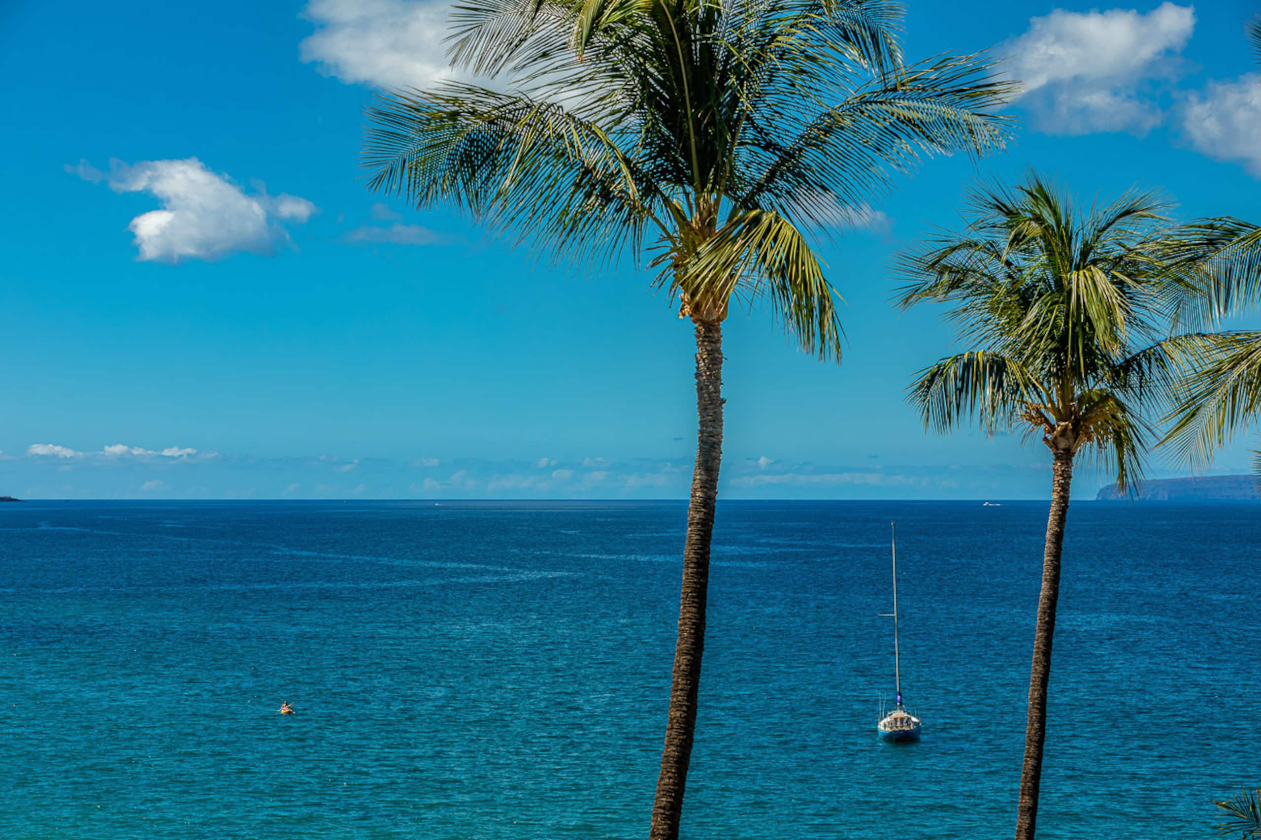 Condo in Kihei · ★4.92 · 2 bedrooms · 2 beds · 2 baths - Image 56
