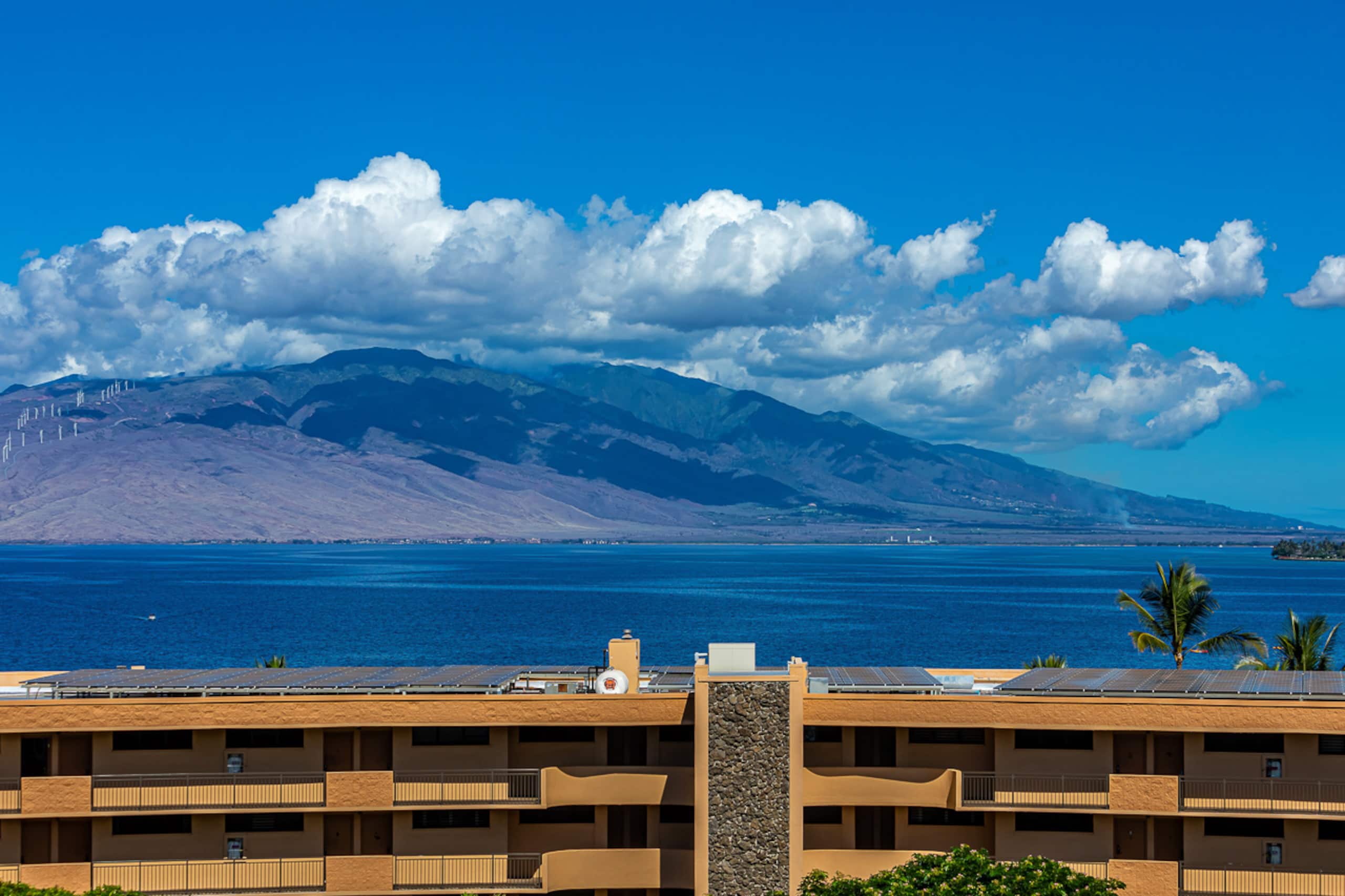 Condo in Kihei · ★4.92 · 2 bedrooms · 2 beds · 2 baths - Image 55