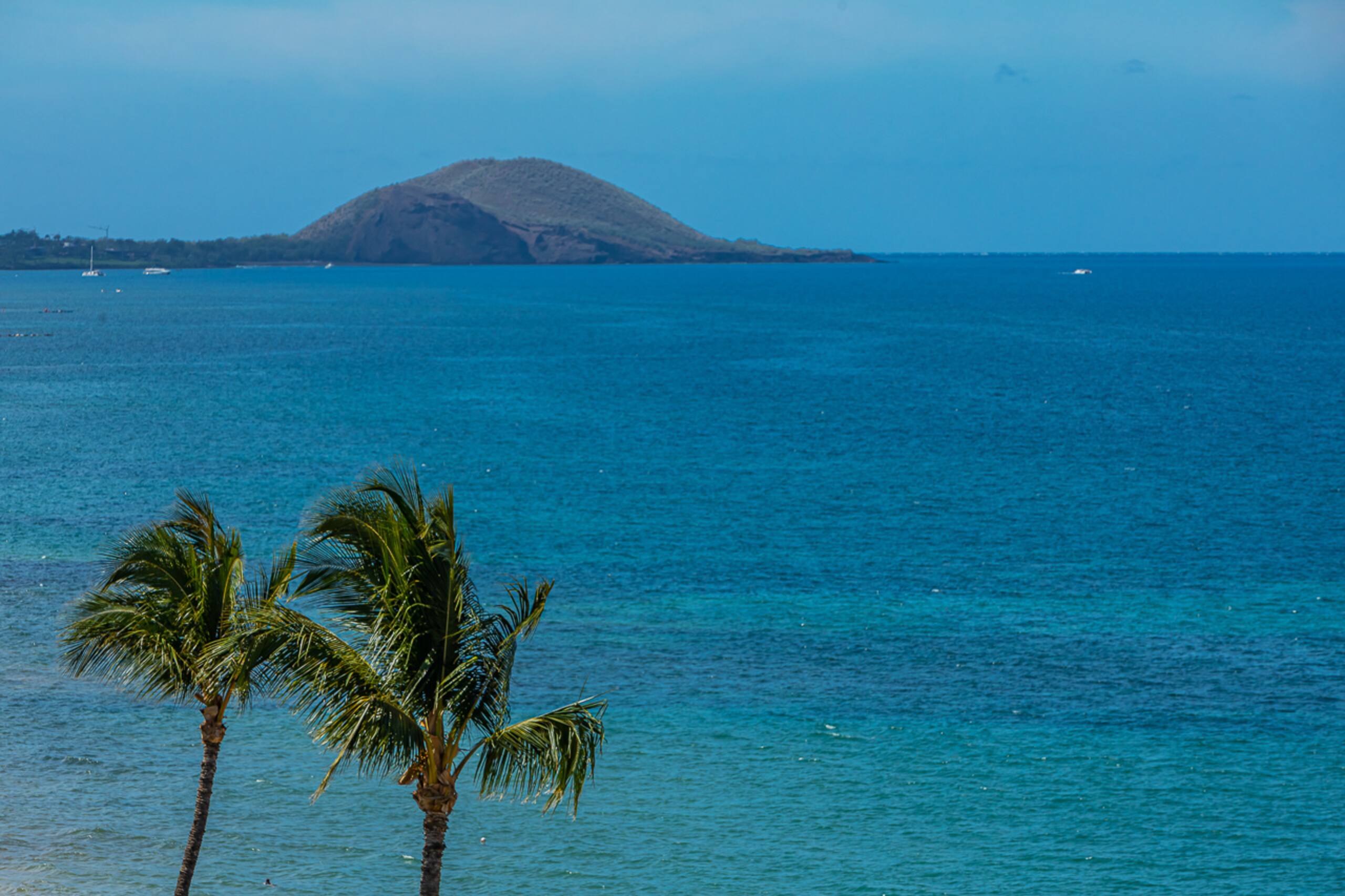Condo in Kihei · ★4.92 · 2 bedrooms · 2 beds · 2 baths - Image 52