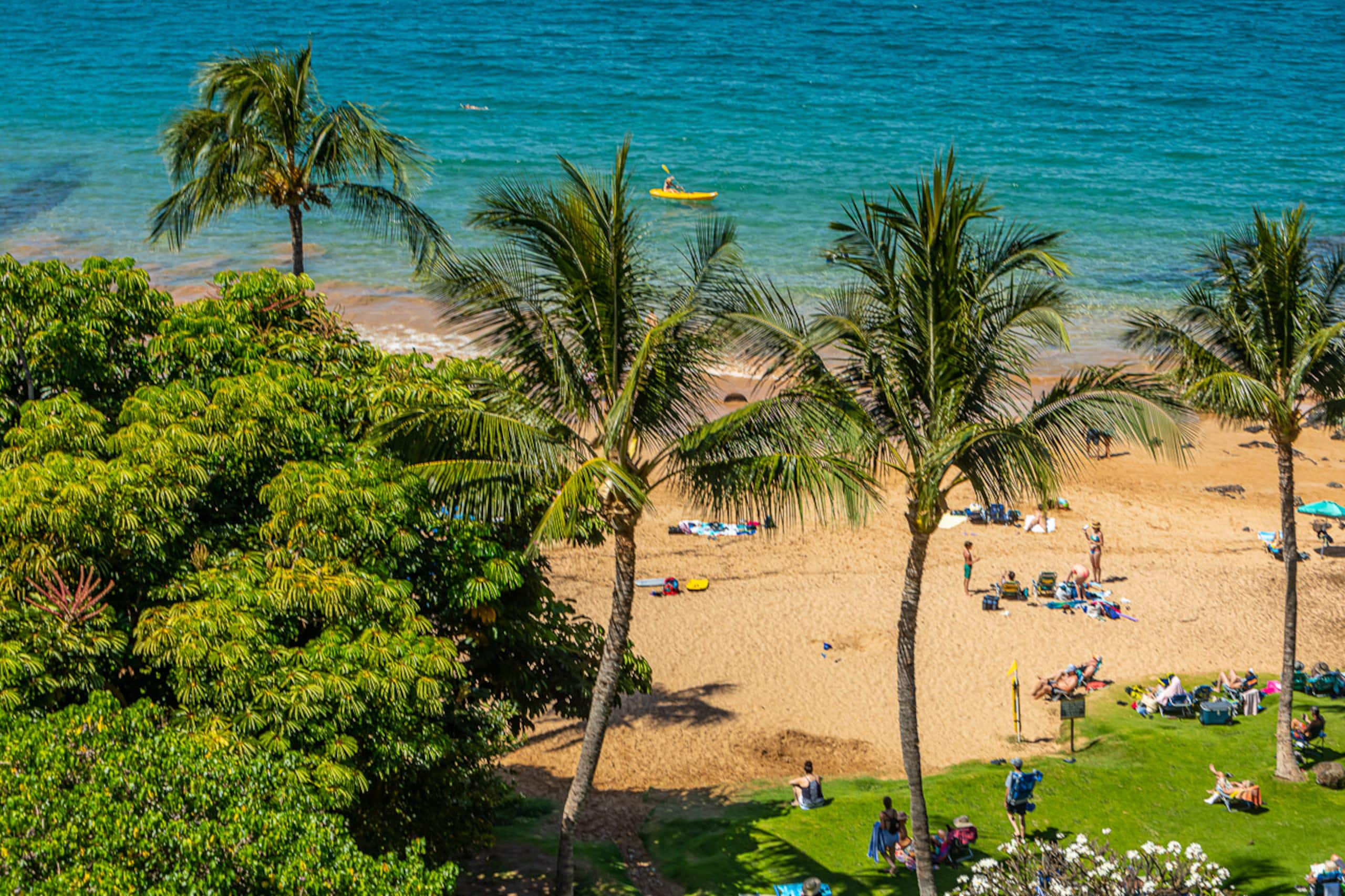 Condo in Kihei · ★4.92 · 2 bedrooms · 2 beds · 2 baths - Image 48