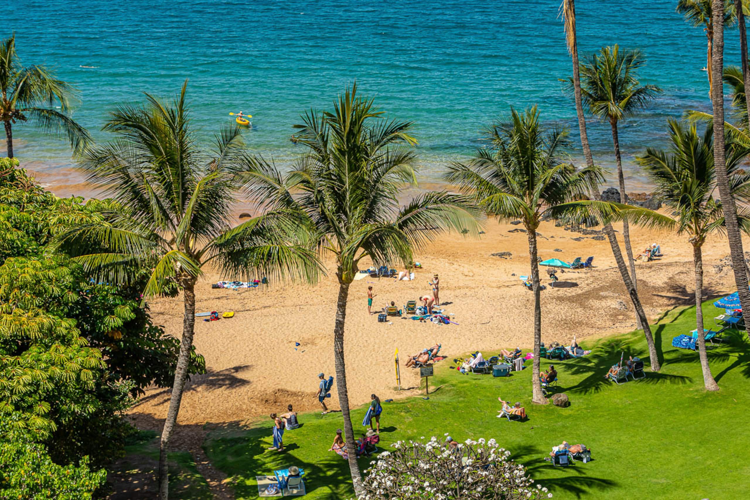 Condo in Kihei · ★4.92 · 2 bedrooms · 2 beds · 2 baths - Image 42