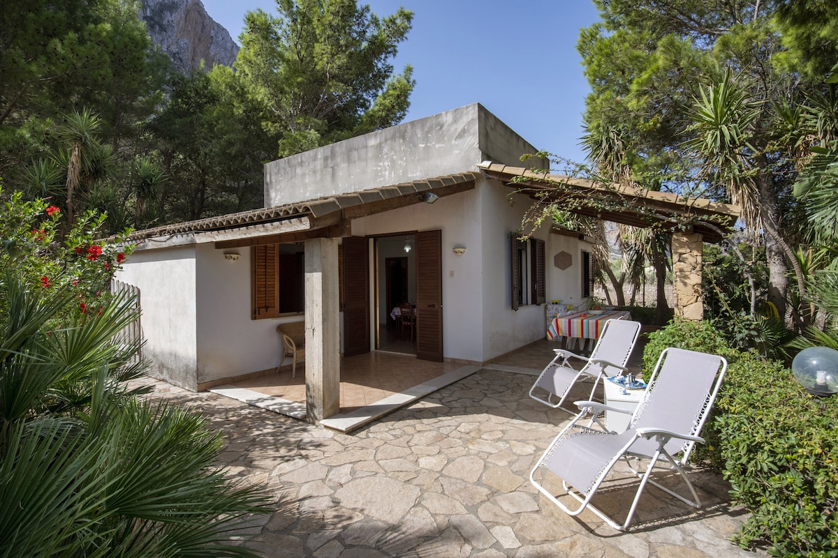 An outdoor area of the holiday apartment is shown, featuring a stone patio surrounded by lush greenery and decorative plants. Two loungers are positioned for relaxation, and the entrance reveals a glimpse of the living room. Bright sunlight enhances the inviting atmosphere.