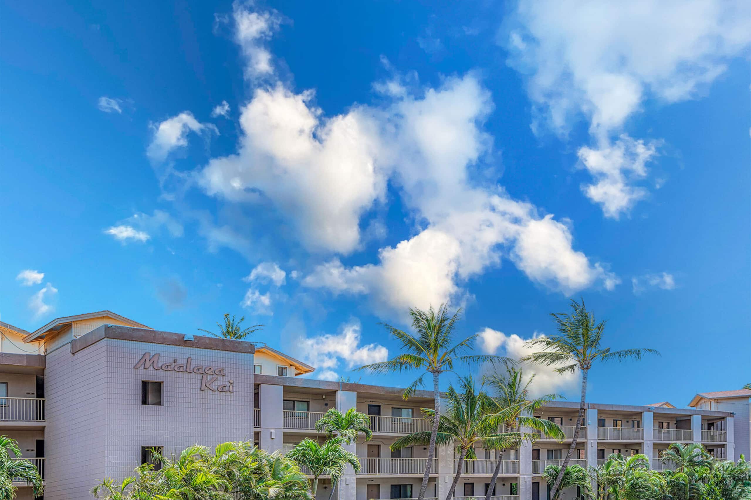 Condo in Wailuku · ★5.0 · 1 bedroom · 2 beds · 1 bath - Image 45
