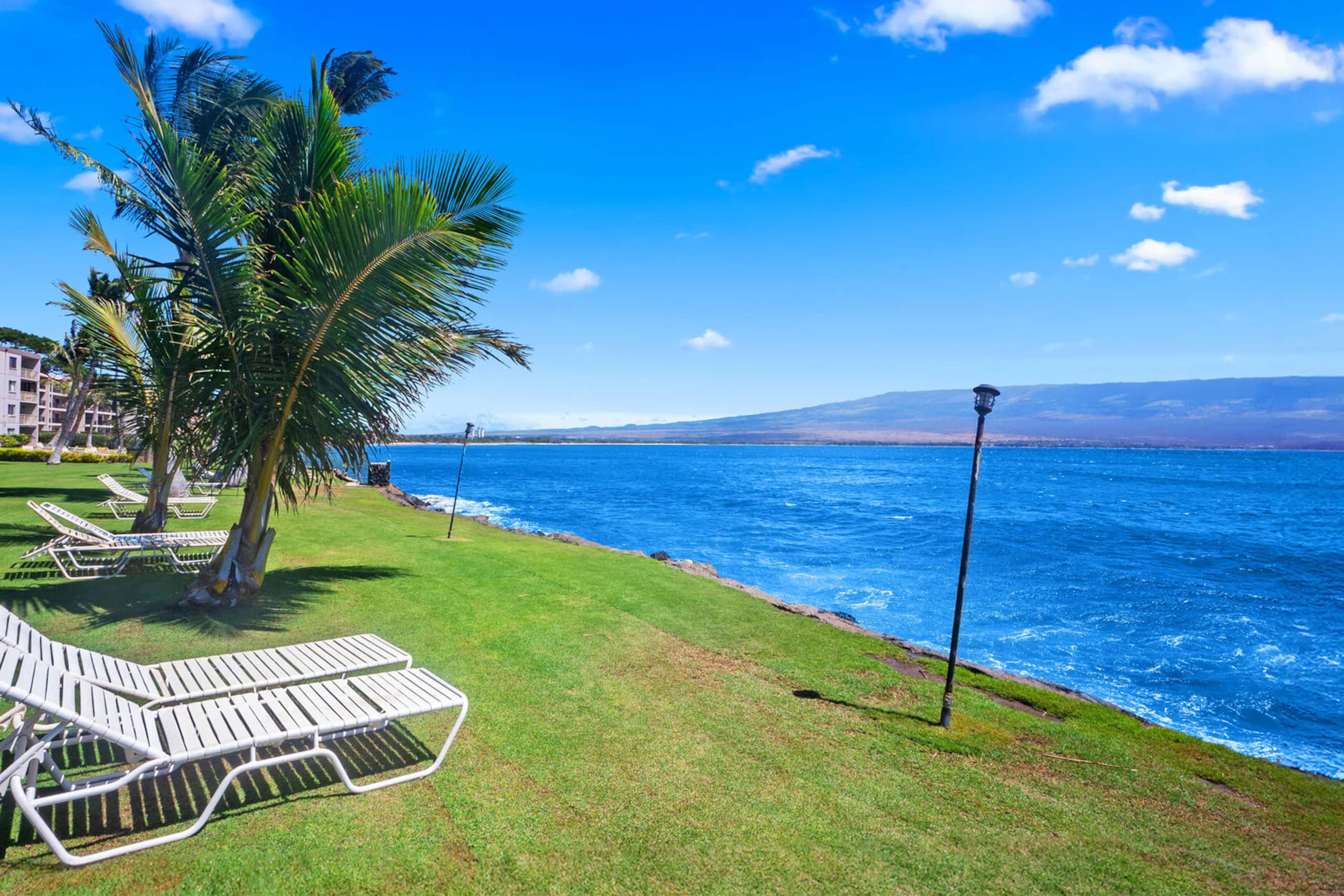 Condo in Wailuku · ★5.0 · 1 bedroom · 2 beds · 1 bath - Image 39