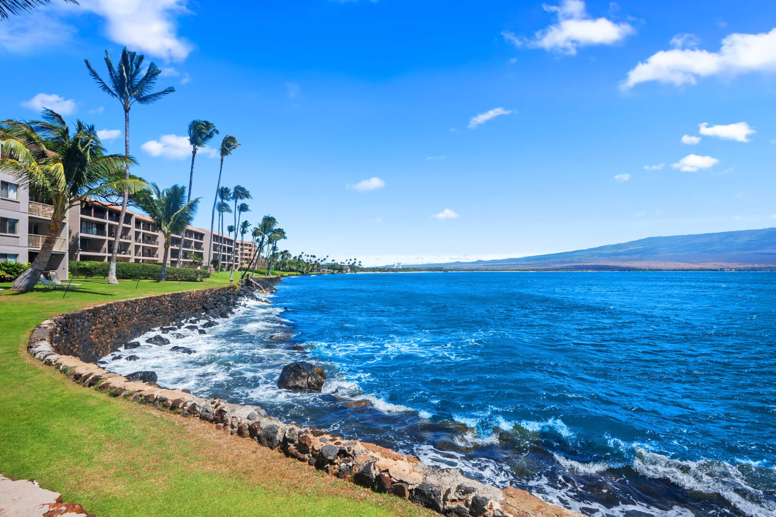 Condo in Wailuku · ★5.0 · 1 bedroom · 2 beds · 1 bath - Image 46