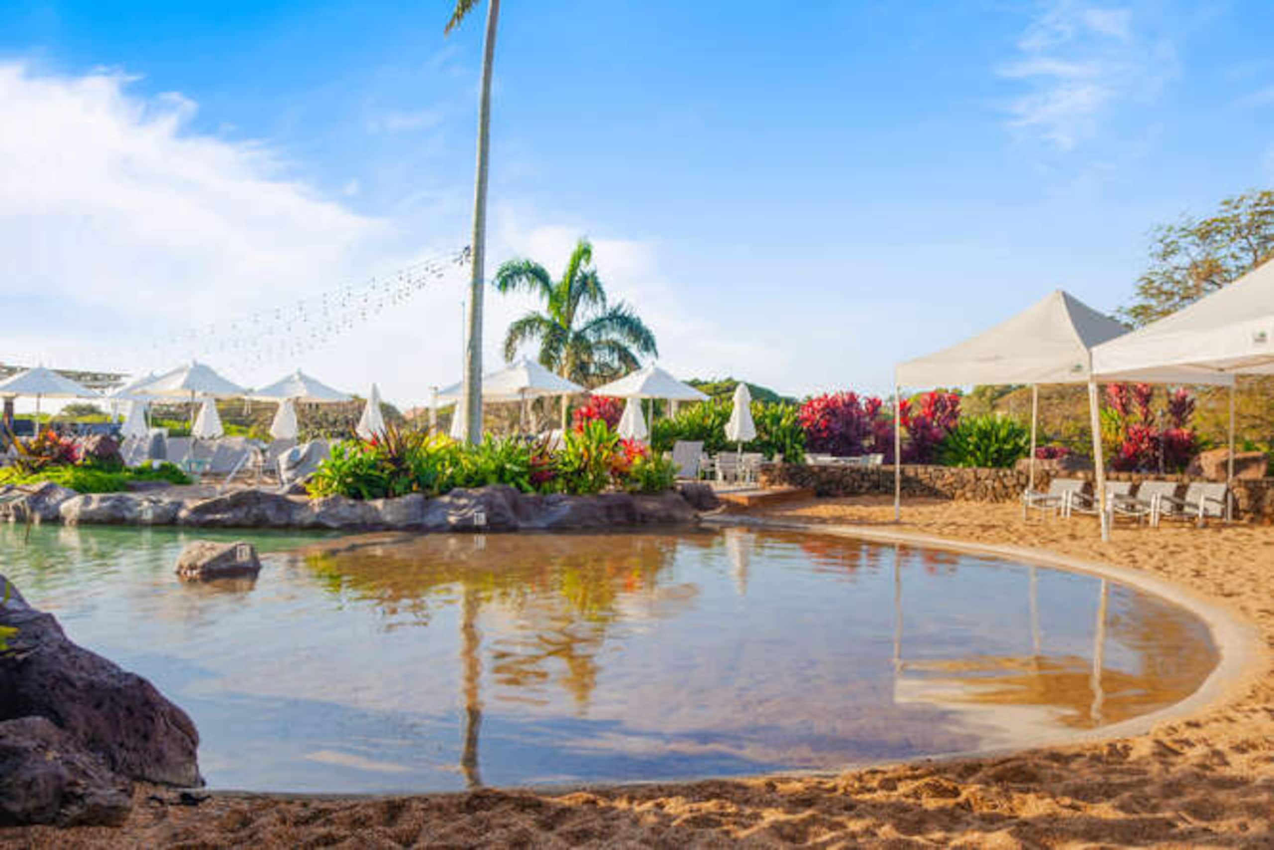 Condo in Koloa · ★4.86 · 2 bedrooms · 3 beds · 2 baths - Image 28