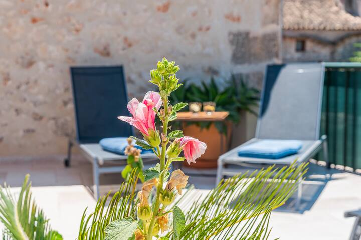 Casa en Sineu gallery image 3