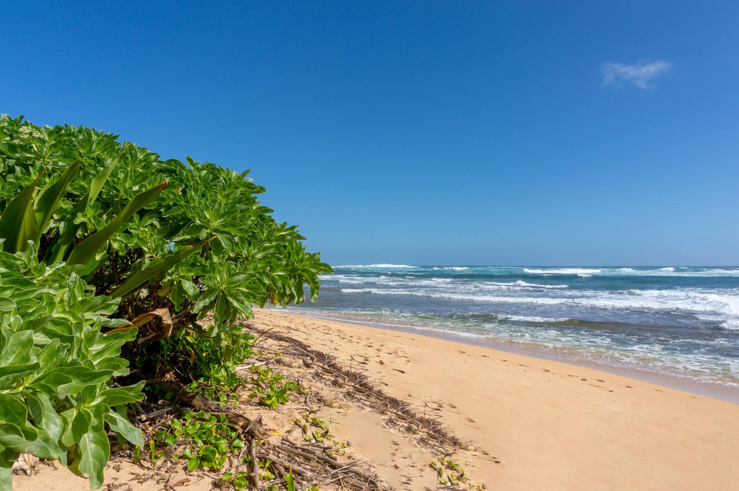 Condo in Hanalei · ★4.78 · 2 bedrooms · 3 beds · 1.5 baths - Image 38