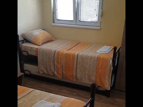 Vila Srebrno Jezero - Twin Room with Private Bathroom