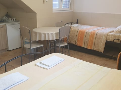 Vila Srebrno Jezero - Quadruple Room with Bathroom