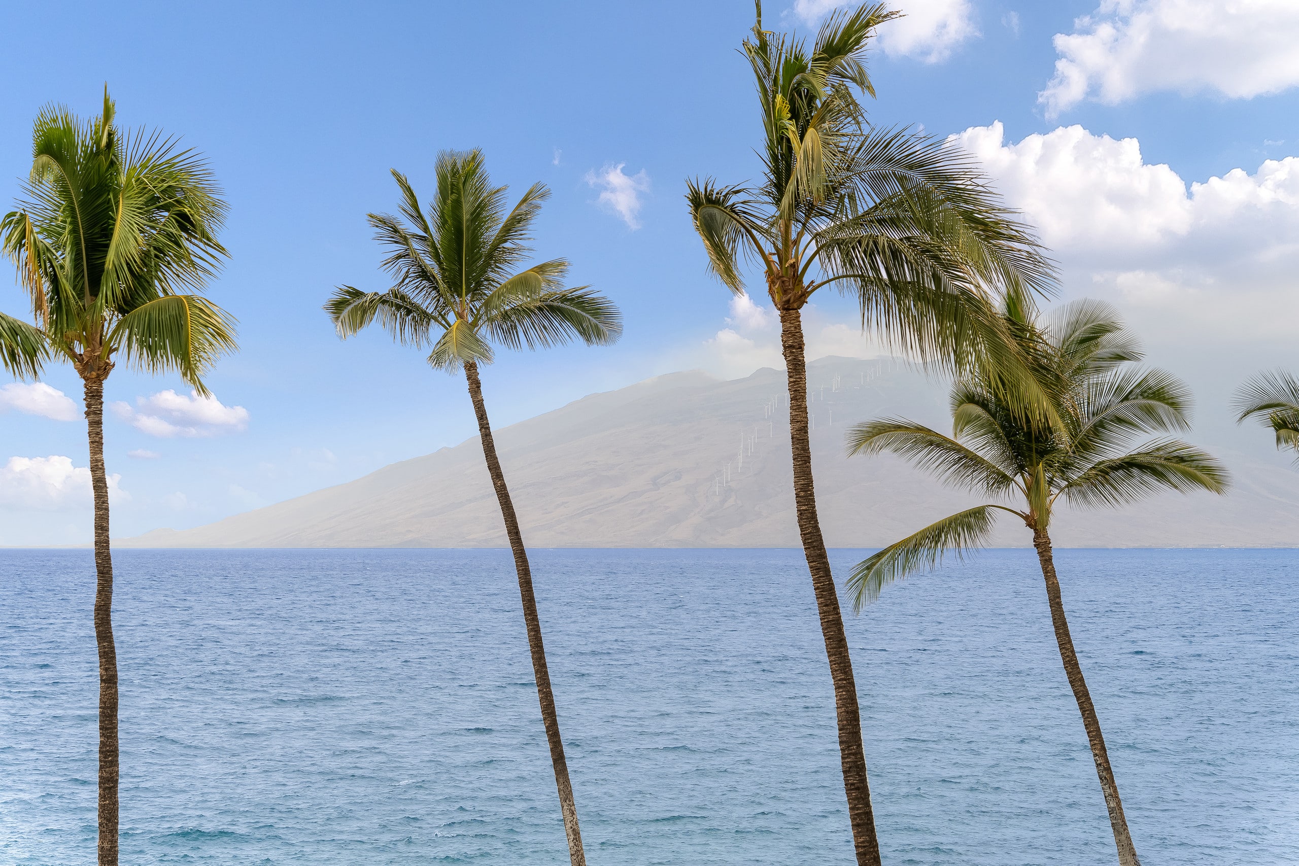 Condo in Kihei · ★4.82 · 1 bedroom · 2 beds · 1 bath - Image 27
