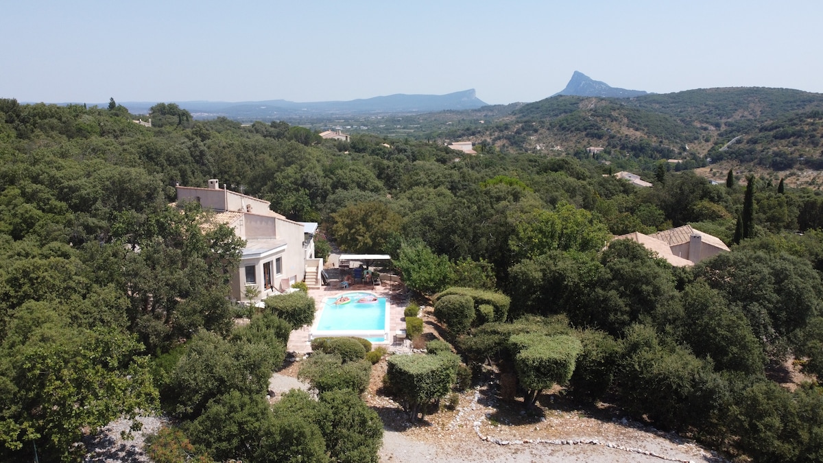 A panoramic view captures the expansive villa surrounded by lush greenery, with a large heated swimming pool in the center. The distant hills add depth to the landscape, while the villa's modern architecture blends harmoniously within the natural setting.