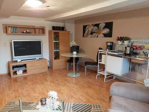 Apartment (45 sqm) with free Wi-Fi (Fewo Wolf)