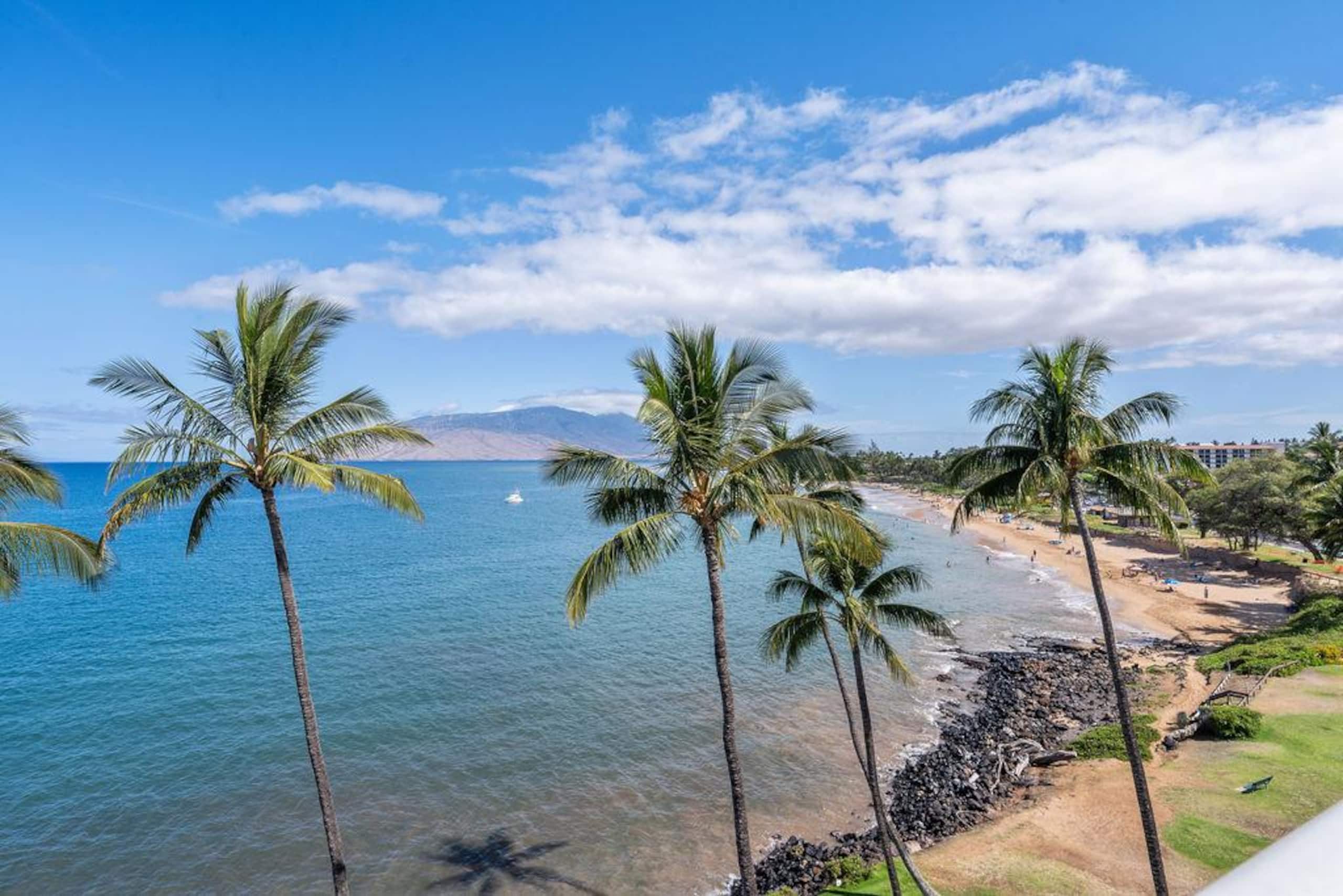 Condo in Kihei · ★4.96 · 1 bedroom · 1 bed · 1 bath - Image 8