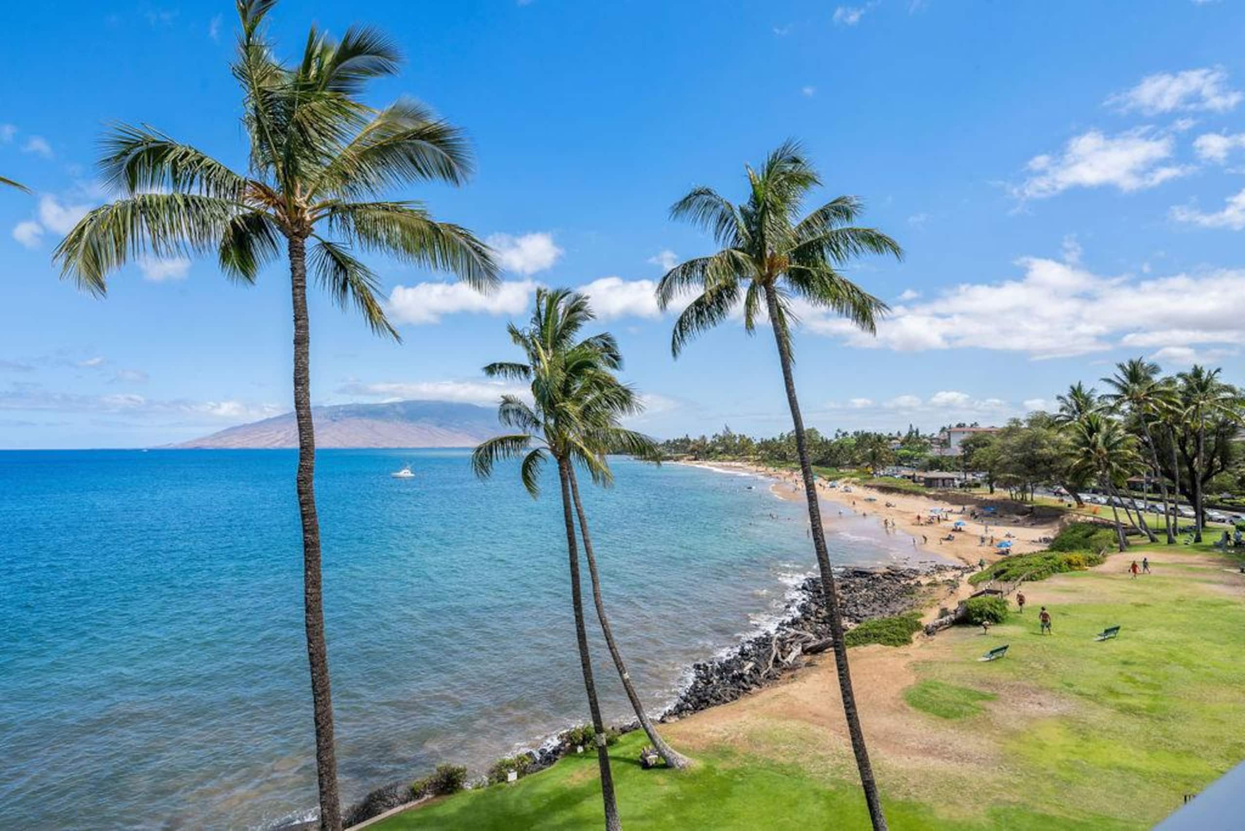 Condo in Kihei · ★4.96 · 1 bedroom · 1 bed · 1 bath - Image 37
