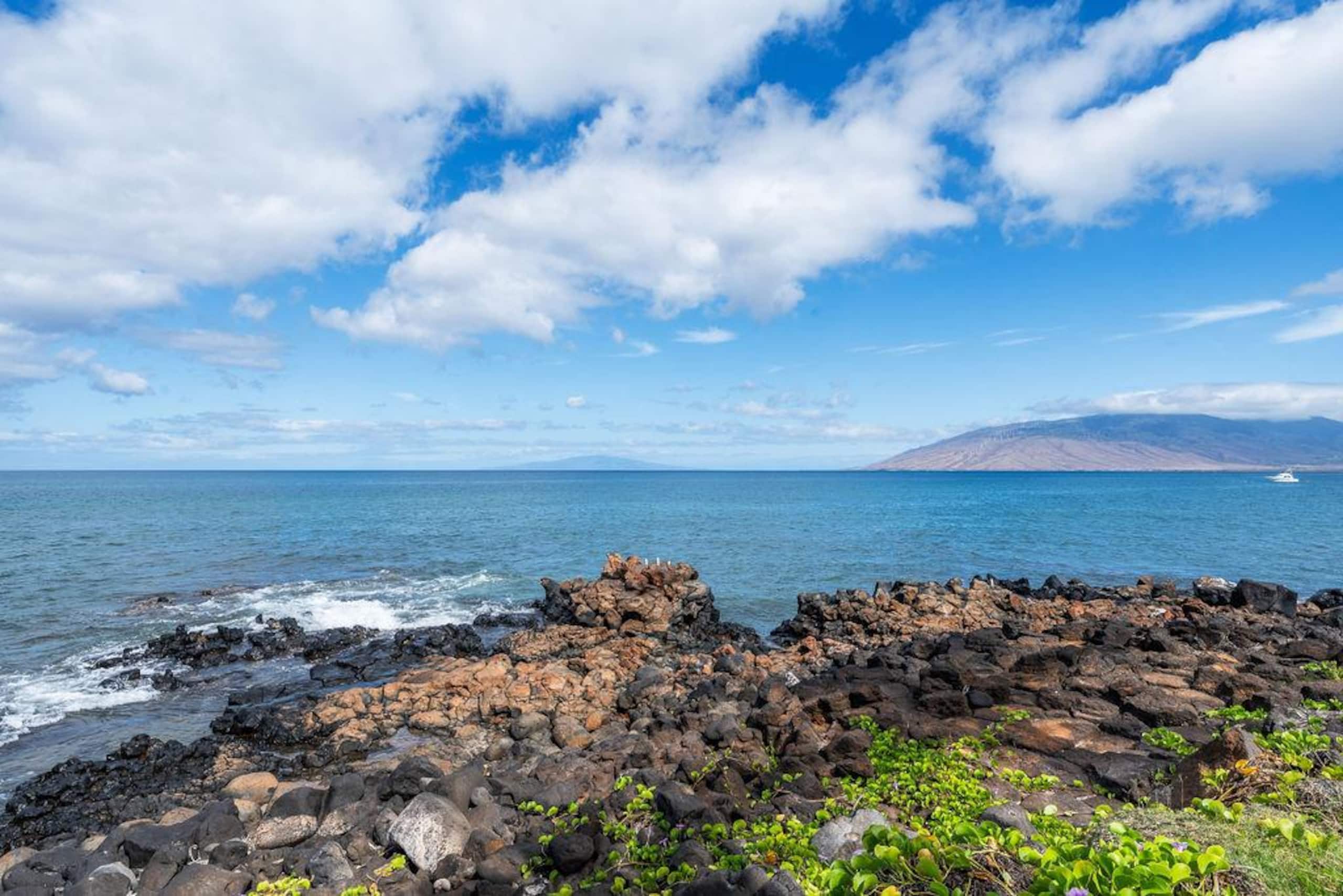 Condo in Kihei · ★4.96 · 1 bedroom · 1 bed · 1 bath - Image 72