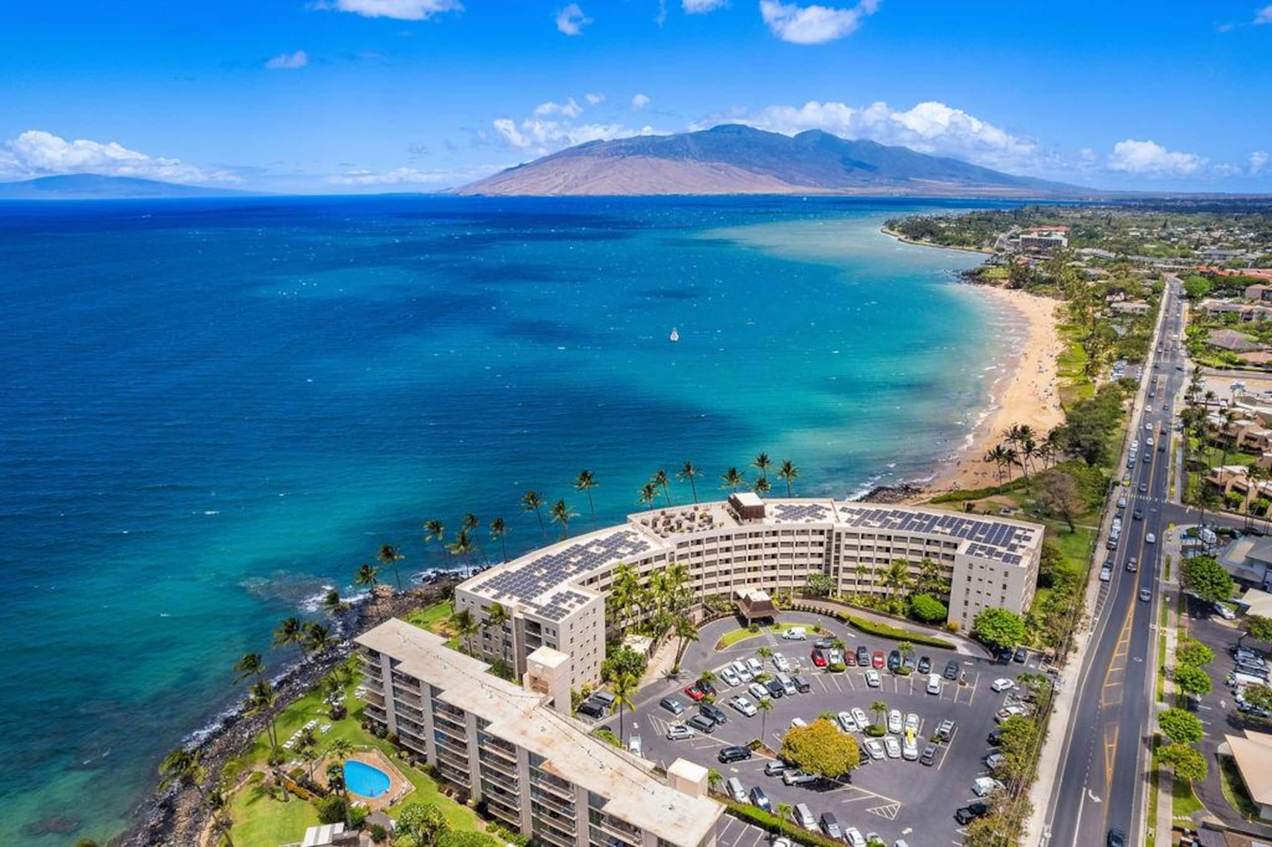 Condo in Kihei · ★4.96 · 1 bedroom · 1 bed · 1 bath - Image 66