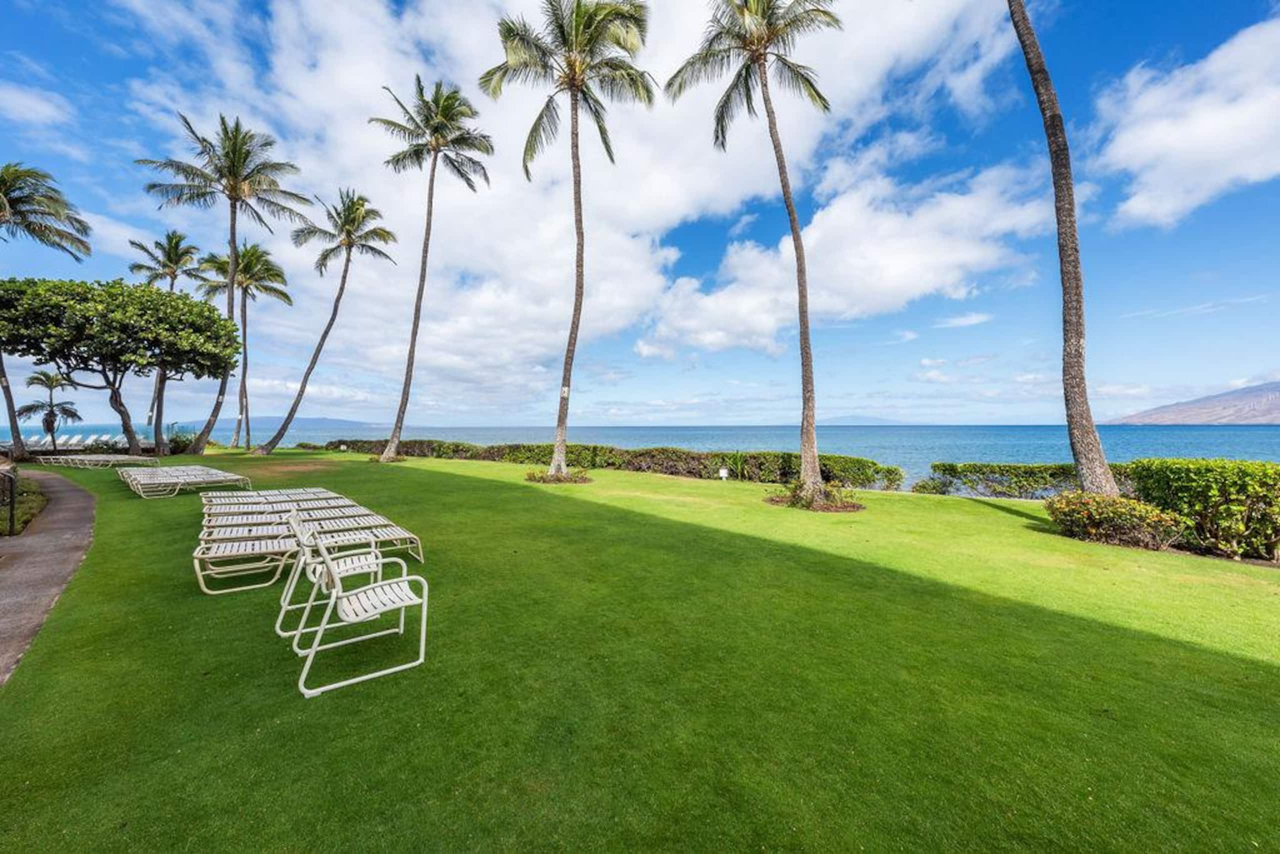 Condo in Kihei · ★4.96 · 1 bedroom · 1 bed · 1 bath - Image 61