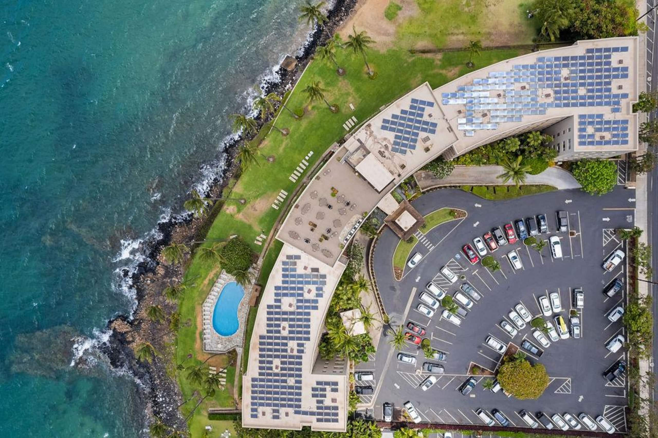Condo in Kihei · ★4.96 · 1 bedroom · 1 bed · 1 bath - Image 83