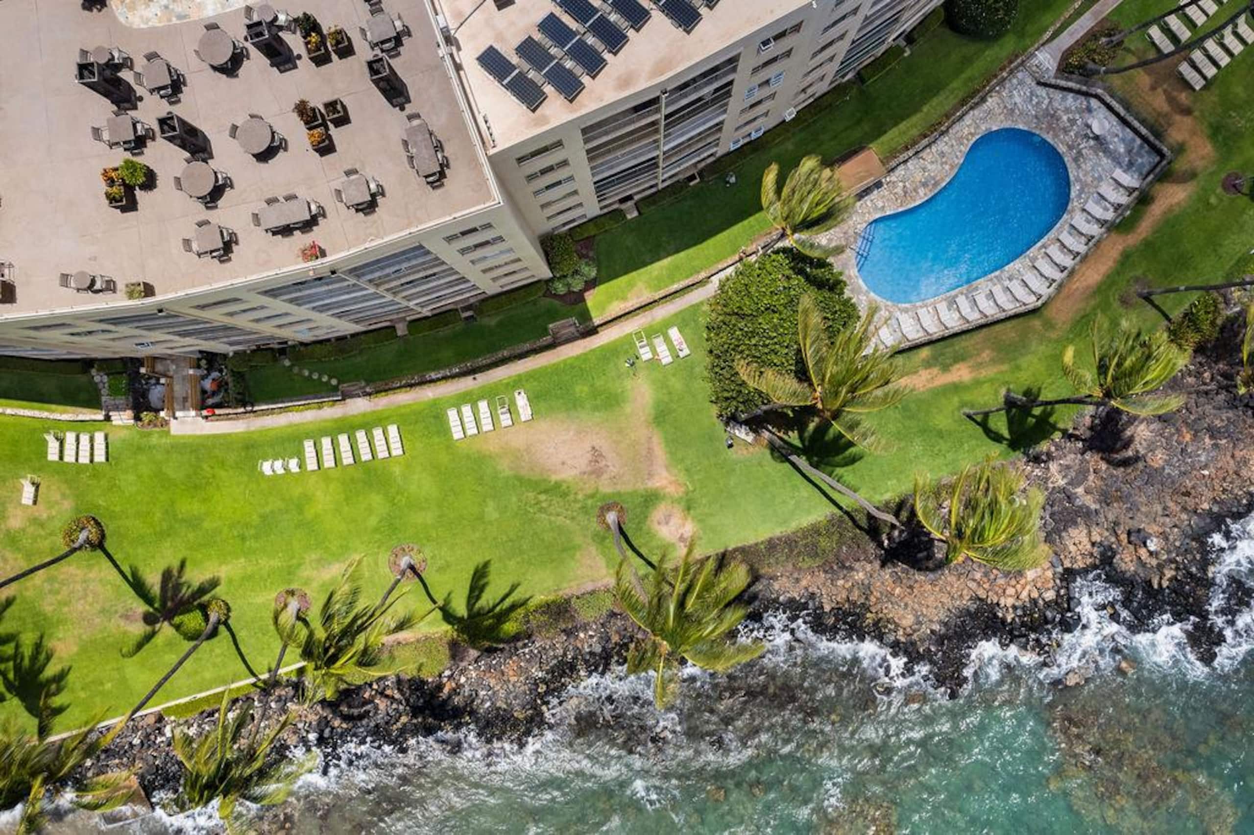 Condo in Kihei · ★4.96 · 1 bedroom · 1 bed · 1 bath - Image 27
