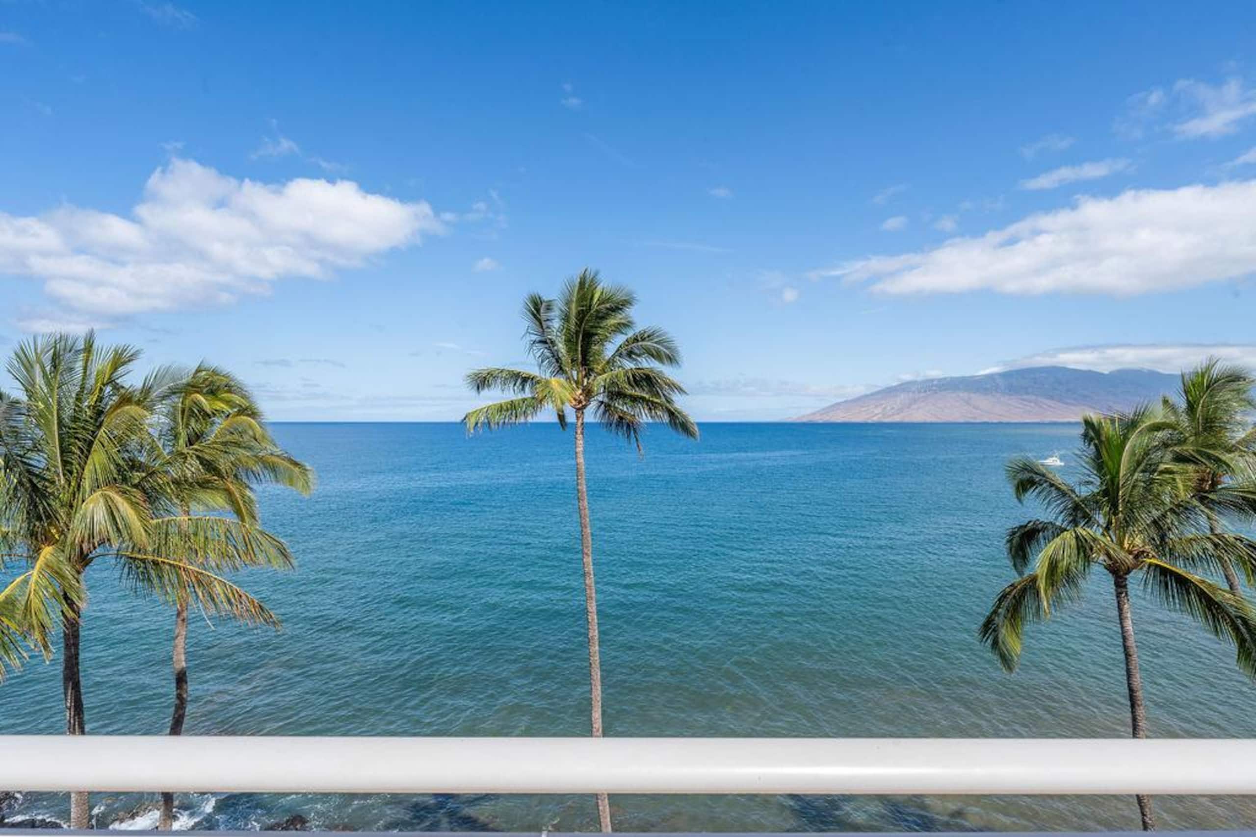 Condo in Kihei · ★4.96 · 1 bedroom · 1 bed · 1 bath - Image 65
