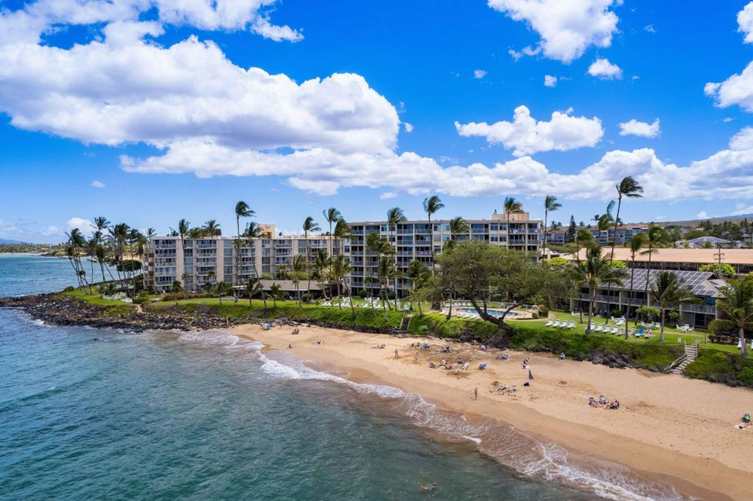 Condo in Kihei · ★4.96 · 1 bedroom · 1 bed · 1 bath - Image 87