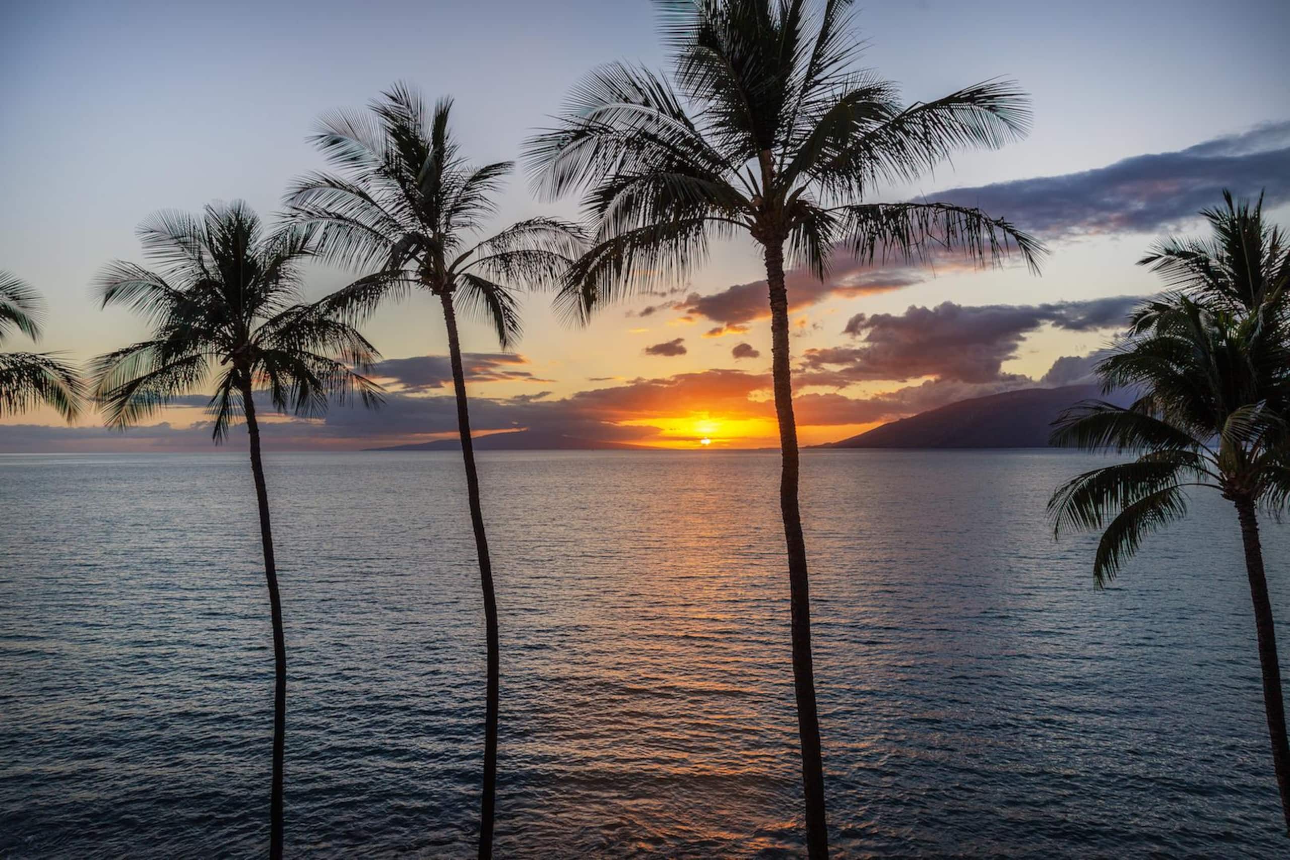 Condo in Kihei · ★4.96 · 1 bedroom · 1 bed · 1 bath - Image 55