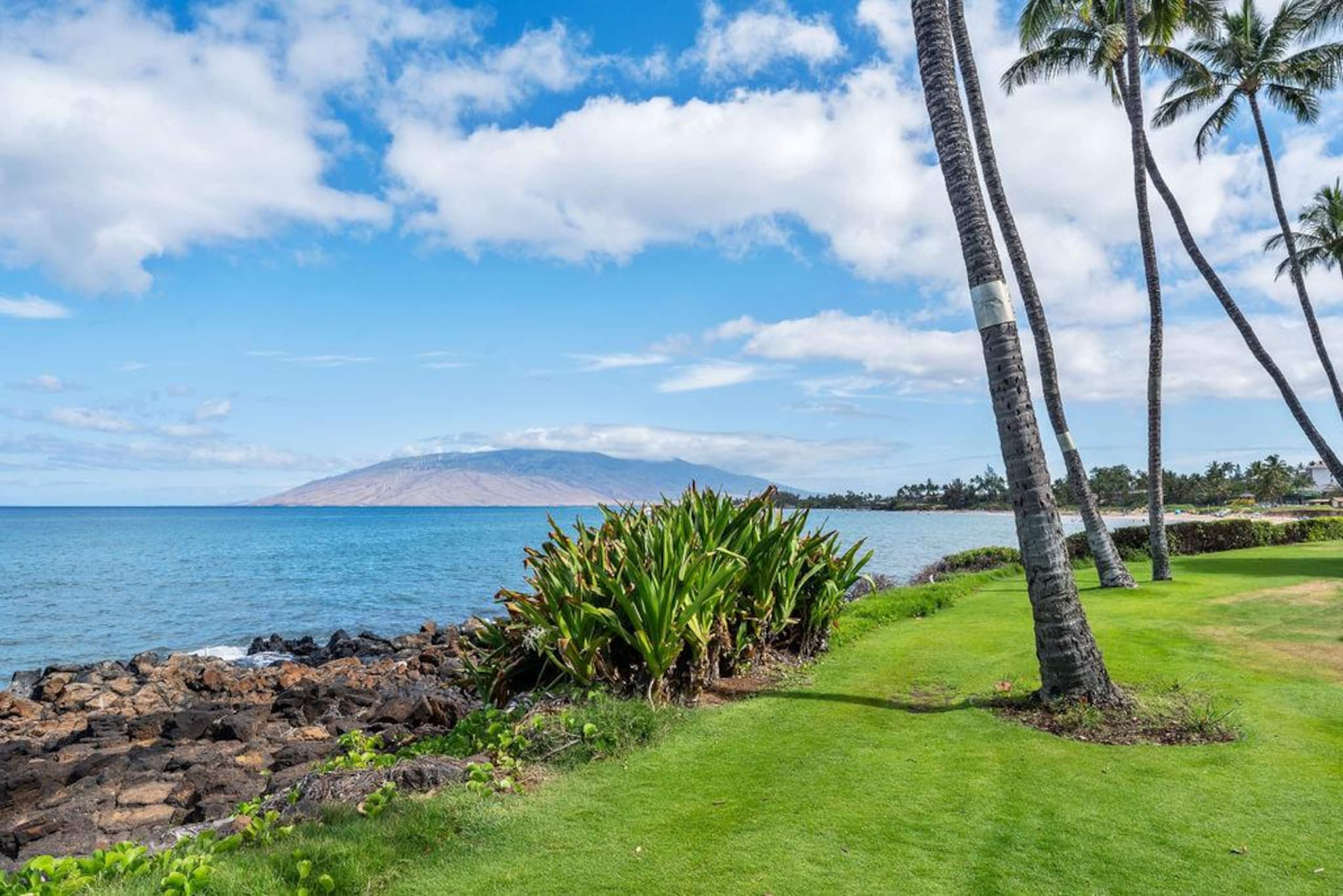 Condo in Kihei · ★4.96 · 1 bedroom · 1 bed · 1 bath - Image 86