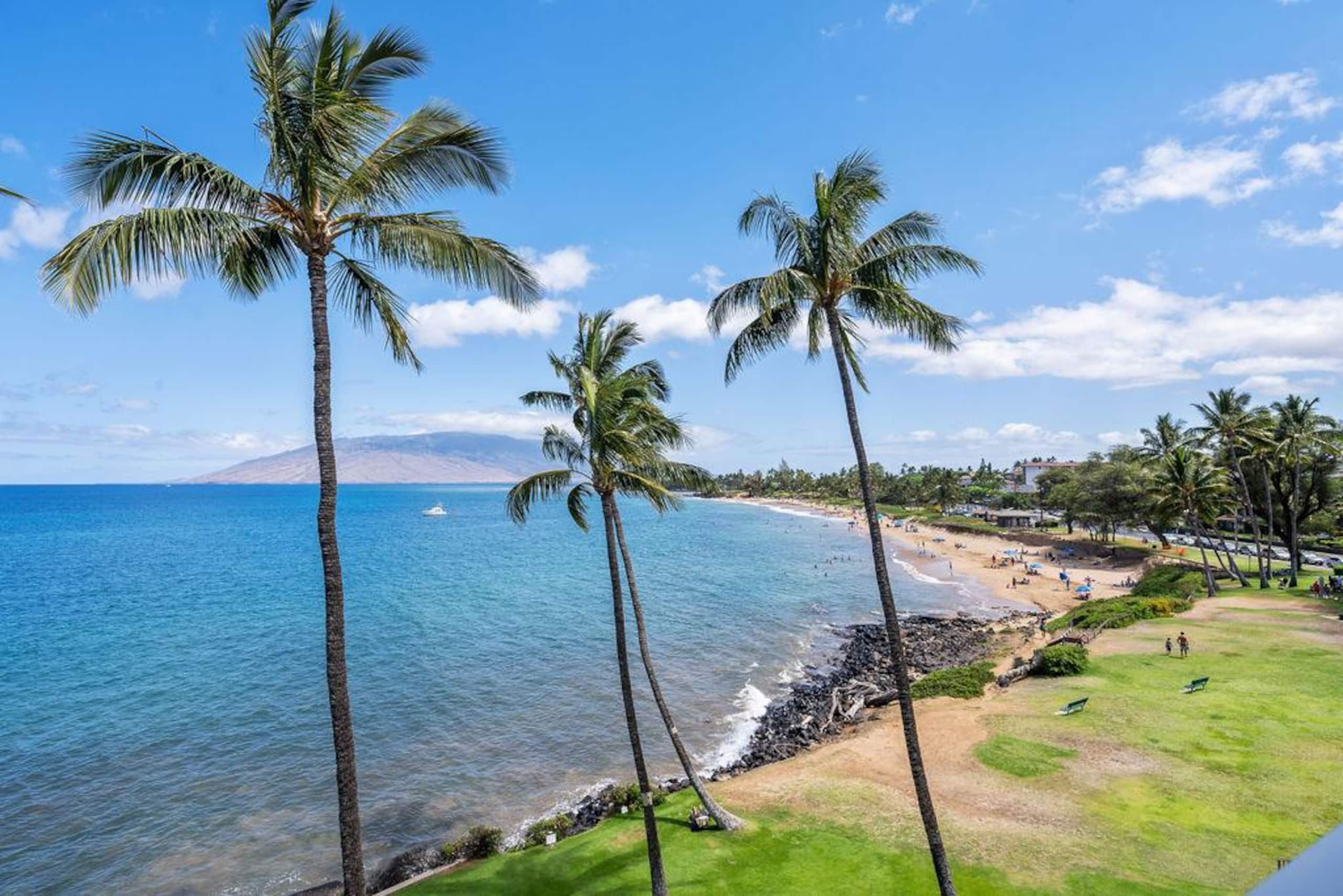 Condo in Kihei · ★4.96 · 1 bedroom · 1 bed · 1 bath - Image 33