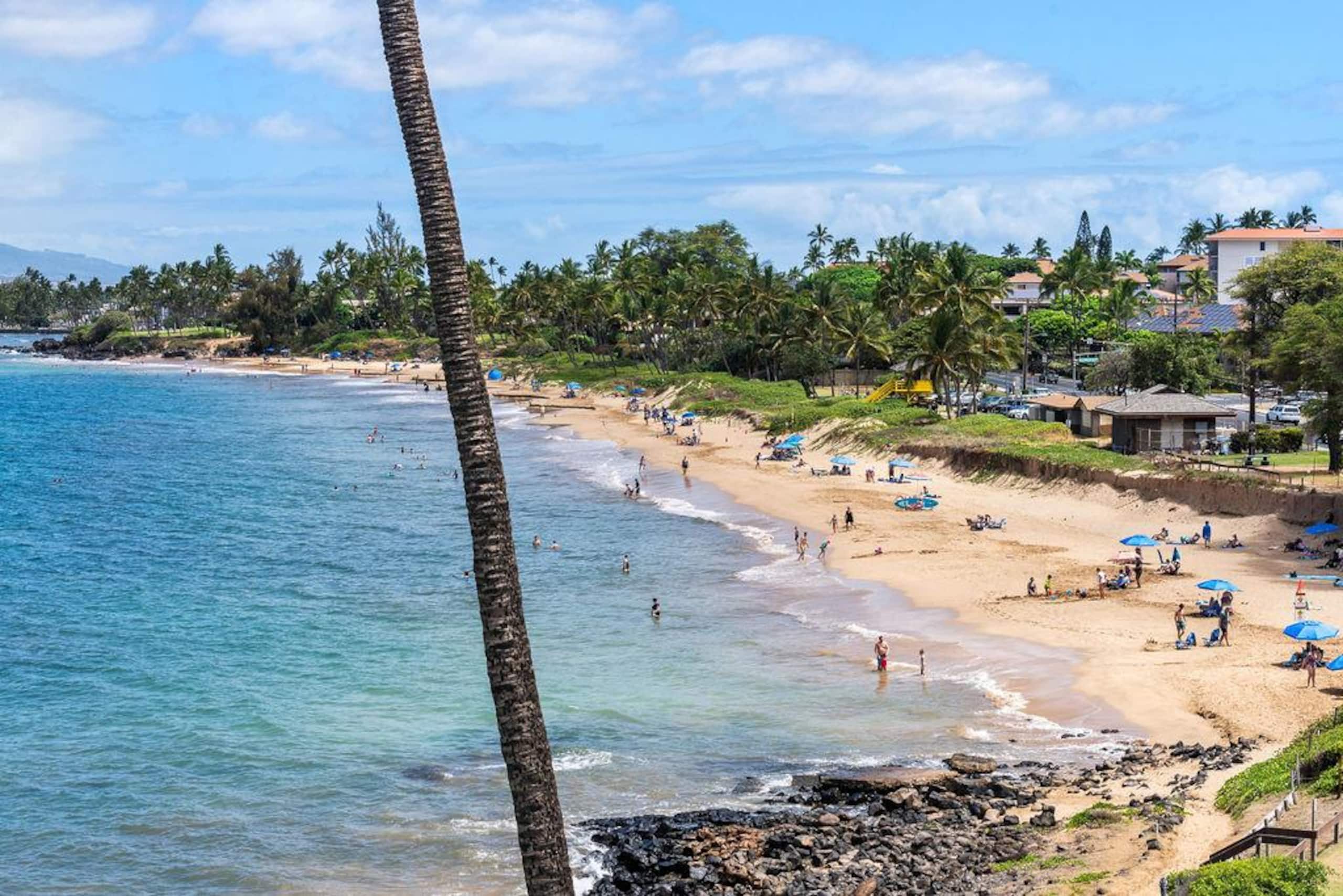 Condo in Kihei · ★4.96 · 1 bedroom · 1 bed · 1 bath - Image 69