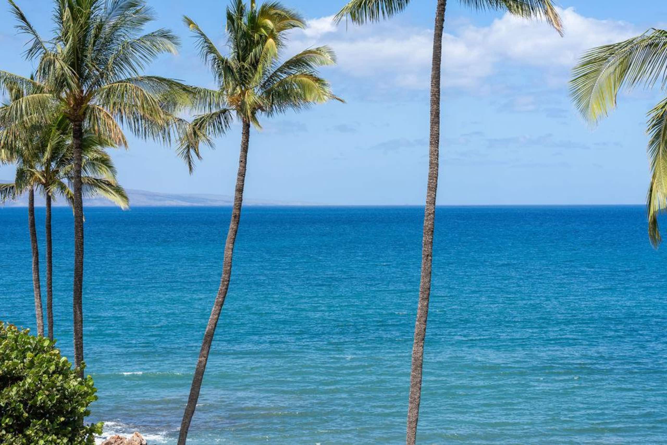 Condo in Kihei · ★4.96 · 1 bedroom · 1 bed · 1 bath - Image 77