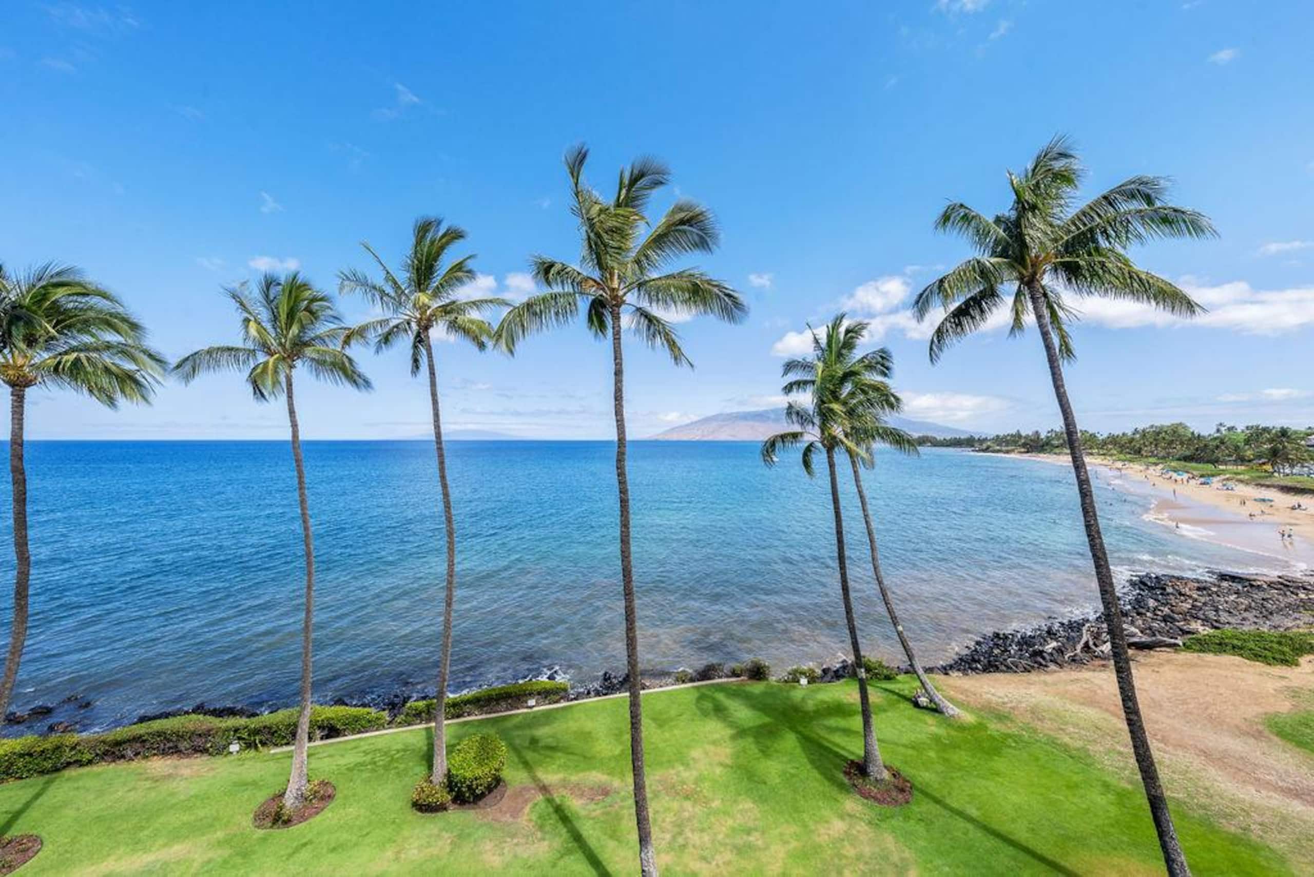 Condo in Kihei · ★4.96 · 1 bedroom · 1 bed · 1 bath - Image 81