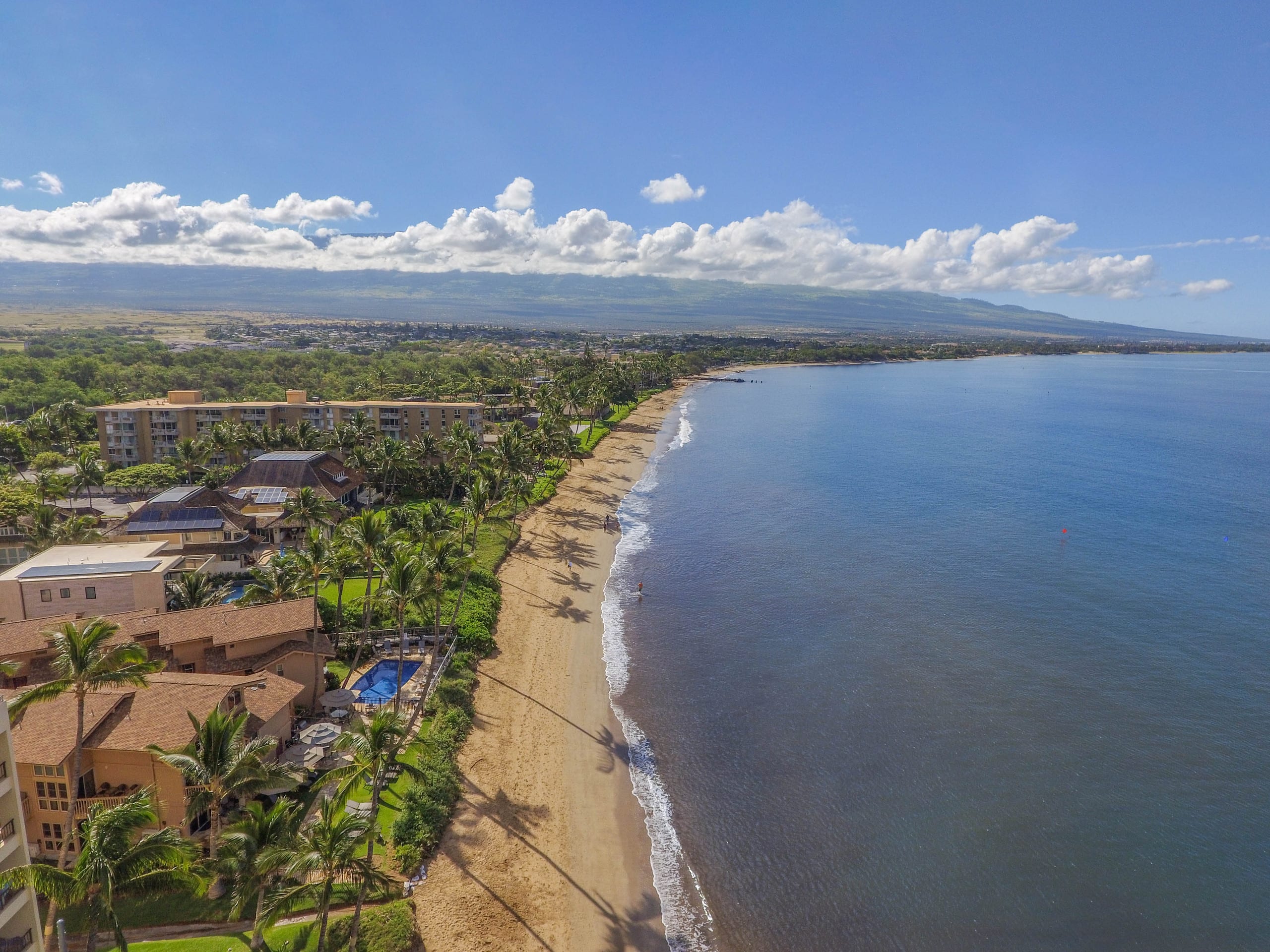 Condo in Kihei · ★4.86 · 1 bedroom · 2 beds · 2 shared baths - Image 45