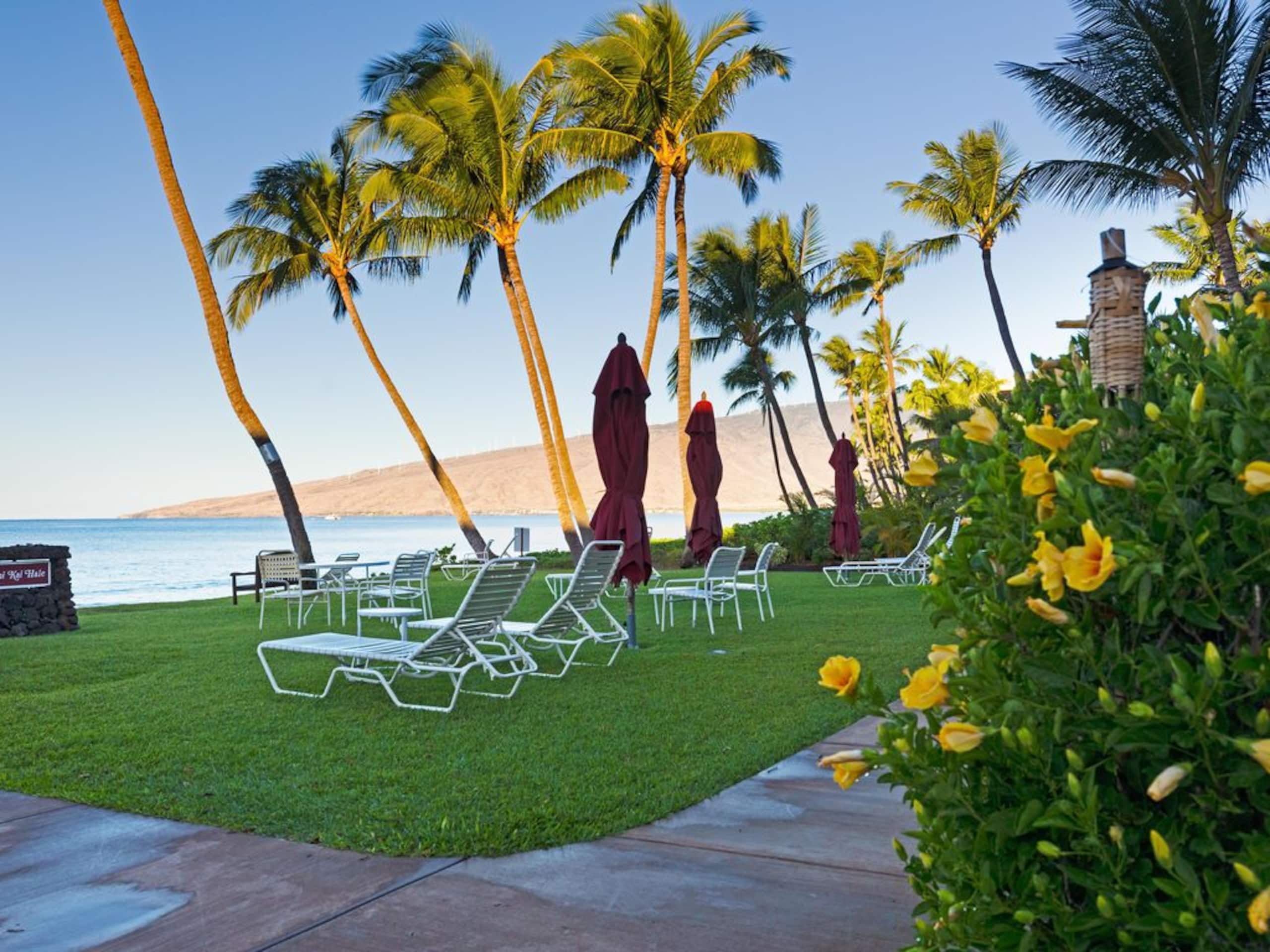 Condo in Kihei · ★4.86 · 1 bedroom · 2 beds · 2 shared baths - Image 26