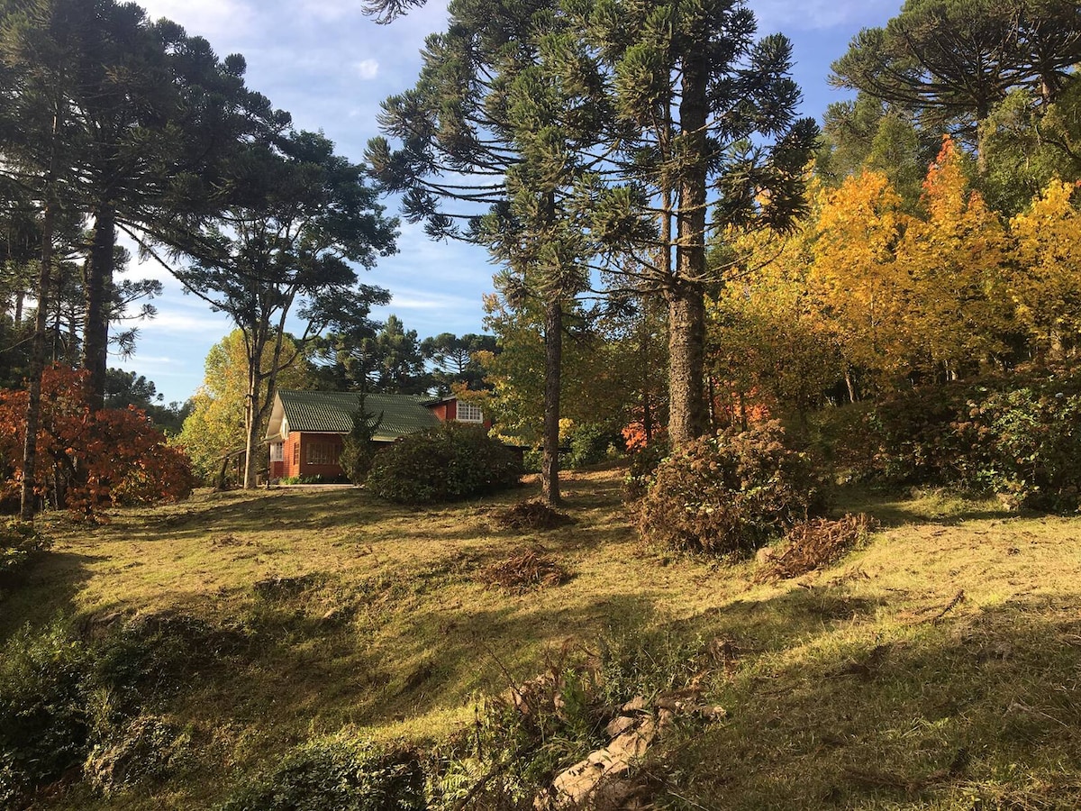The image depicts a serene landscape featuring a gently sloping grassy area surrounded by tall trees. A rustic house with a green roof is visible in the background, complemented by colorful autumn foliage. The tranquility of nature is prominently displayed in this outdoor setting.