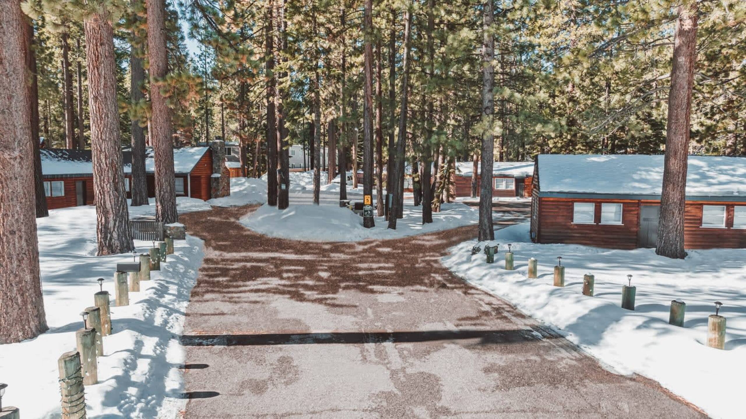 Large Modern Cabin at the Y, Walk to Dining - Photo 30