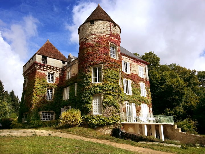 Chateau Roussignol - France
