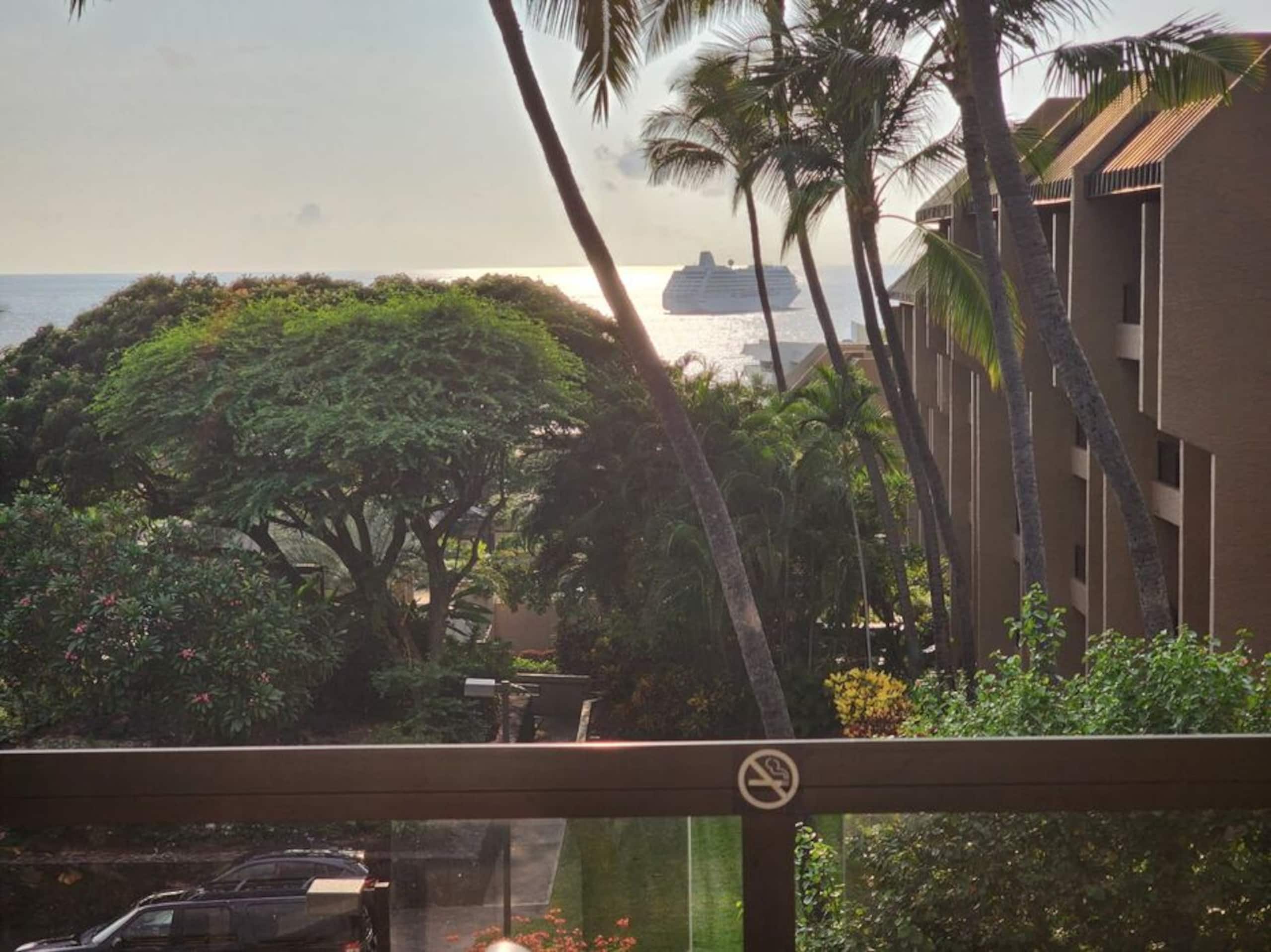 Condo in Kailua-Kona · ★4.89 · 1 bedroom · 2 beds · 2 private baths - Image 27